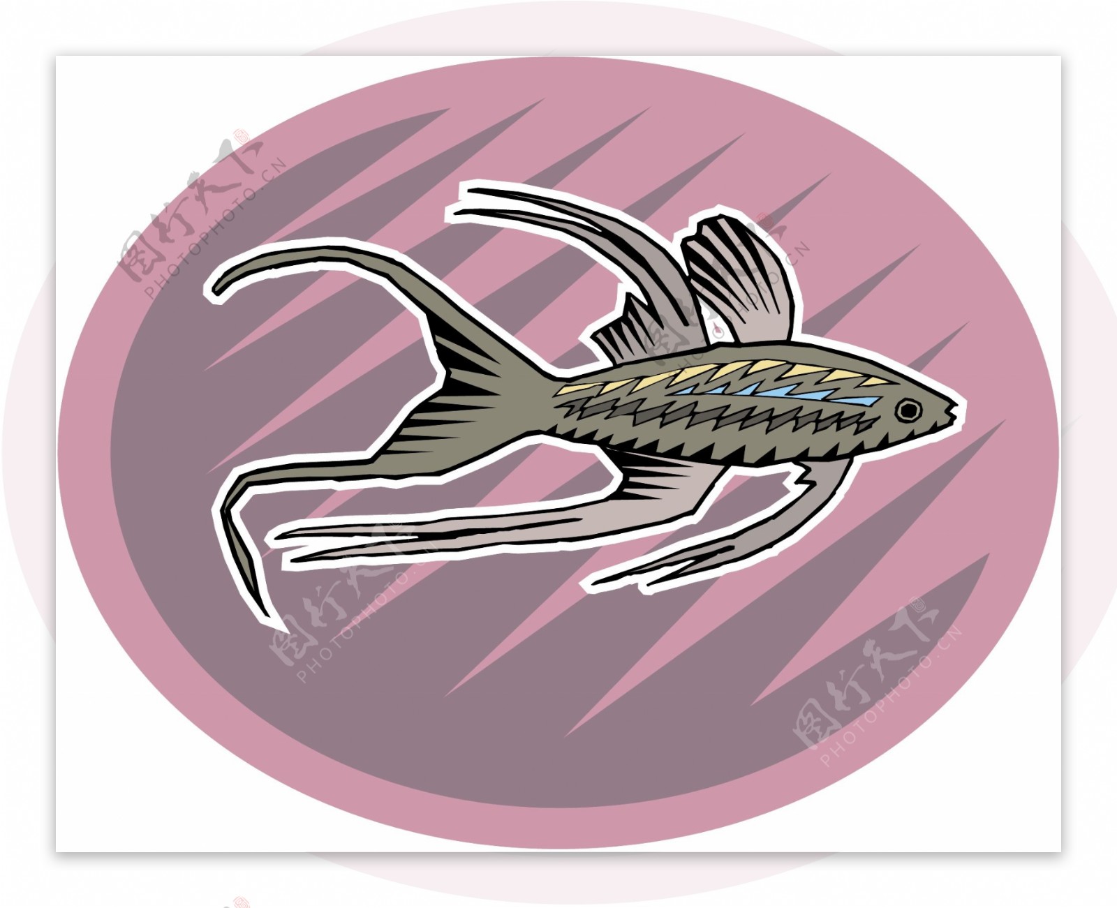 五彩小鱼水生动物矢量素材EPS格式0530