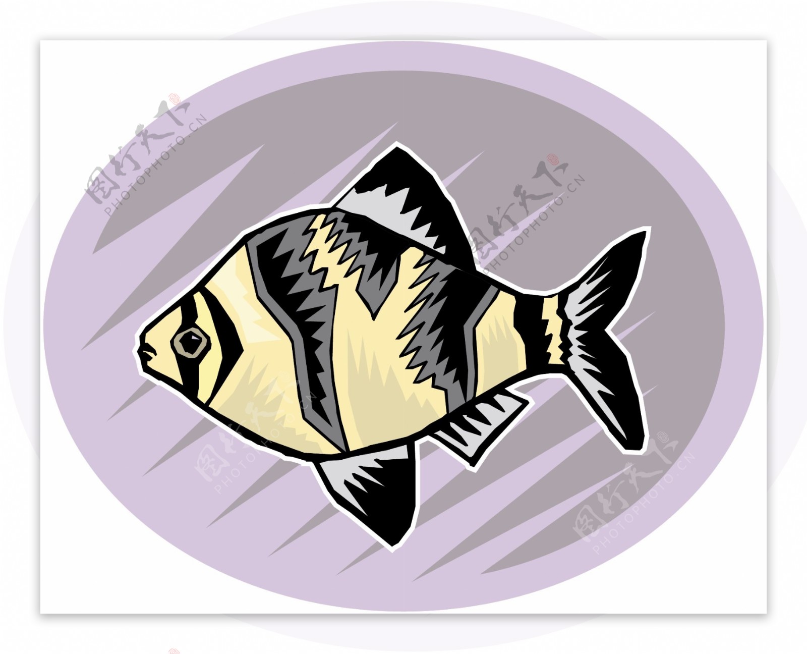 五彩小鱼水生动物矢量素材EPS格式0674