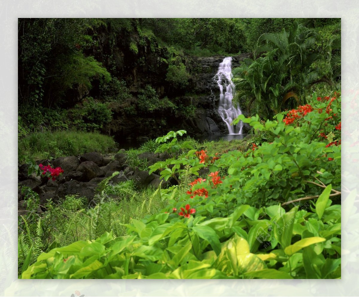 山林中的小溪高清风景图片图片