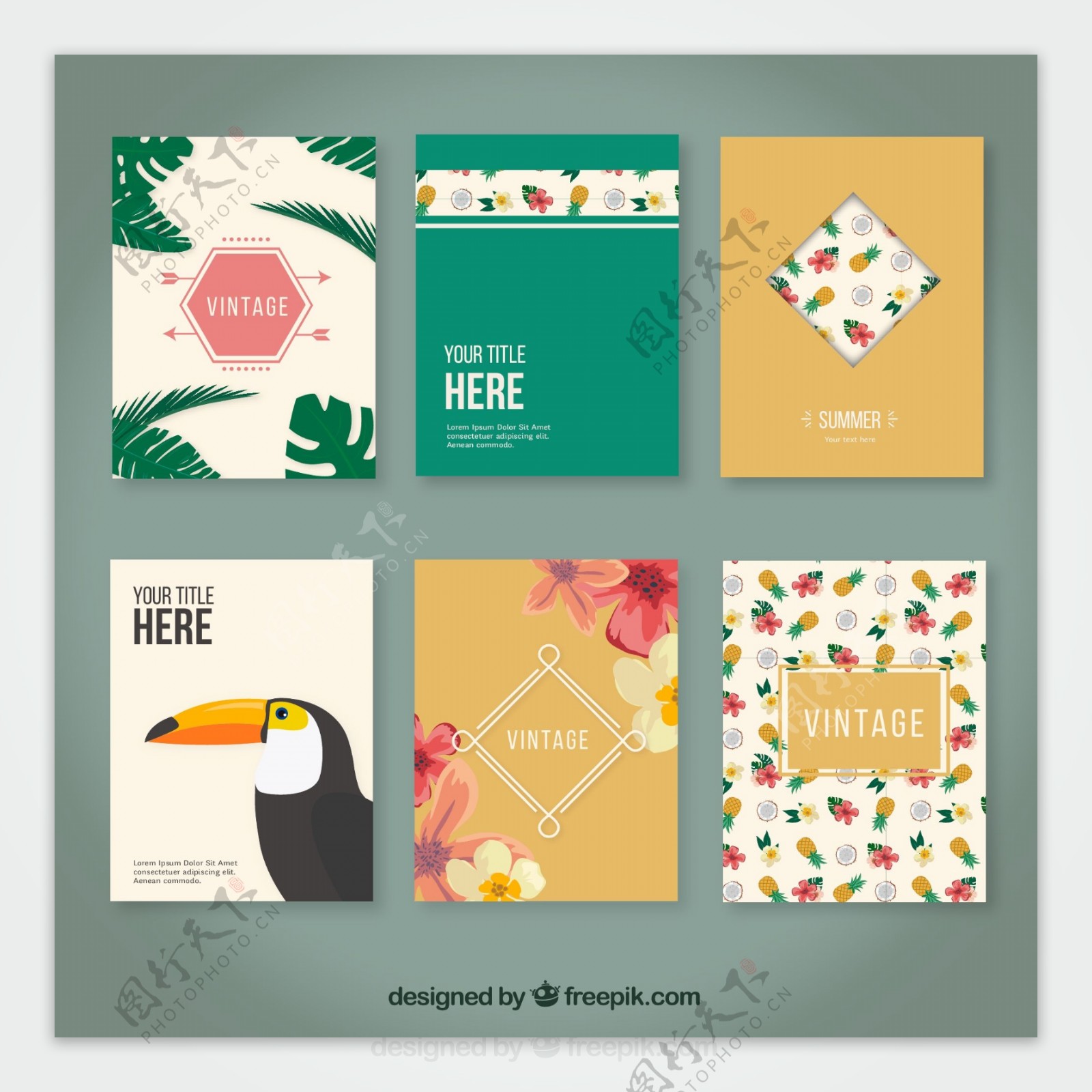 6款热带花卉卡片矢量素材图片