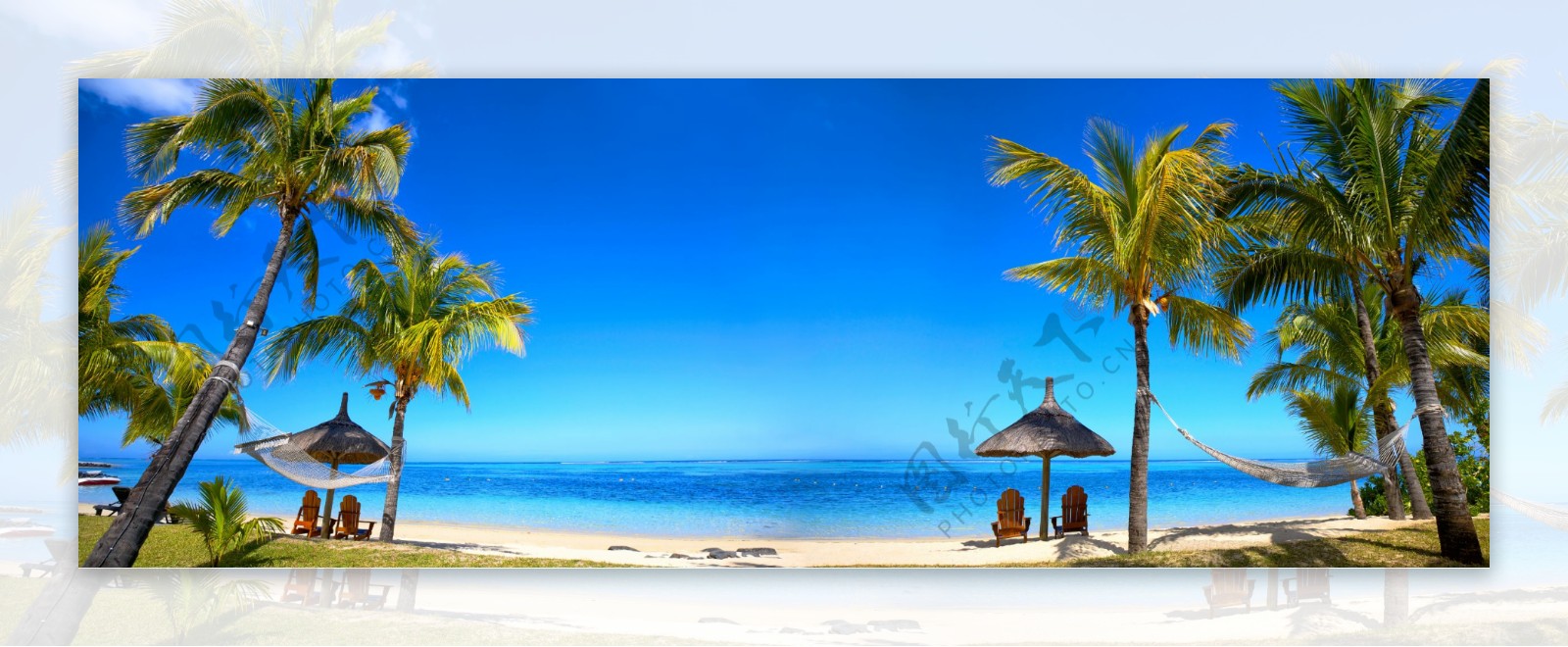 美丽的沙滩椰树图片