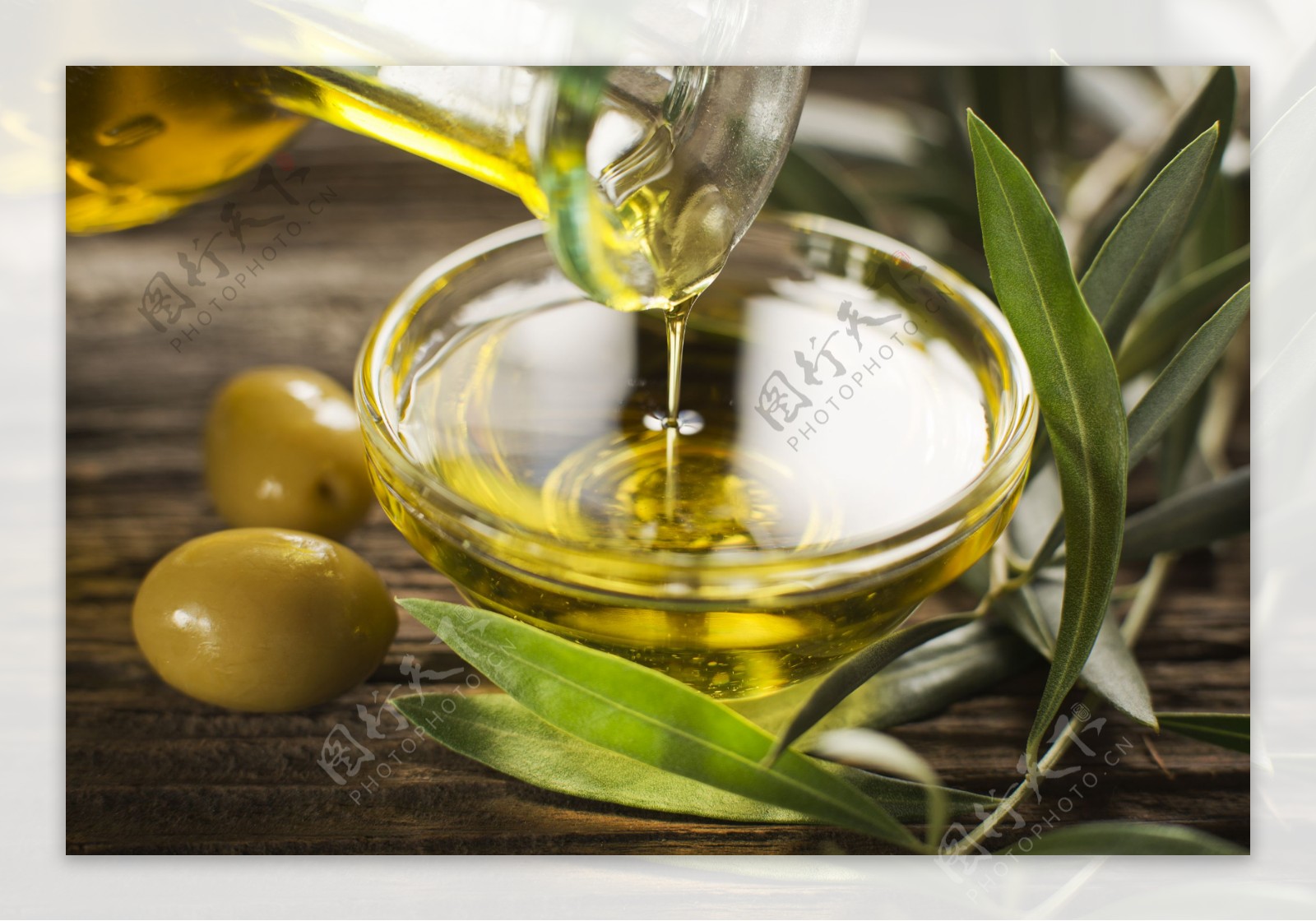 橄榄油摄影