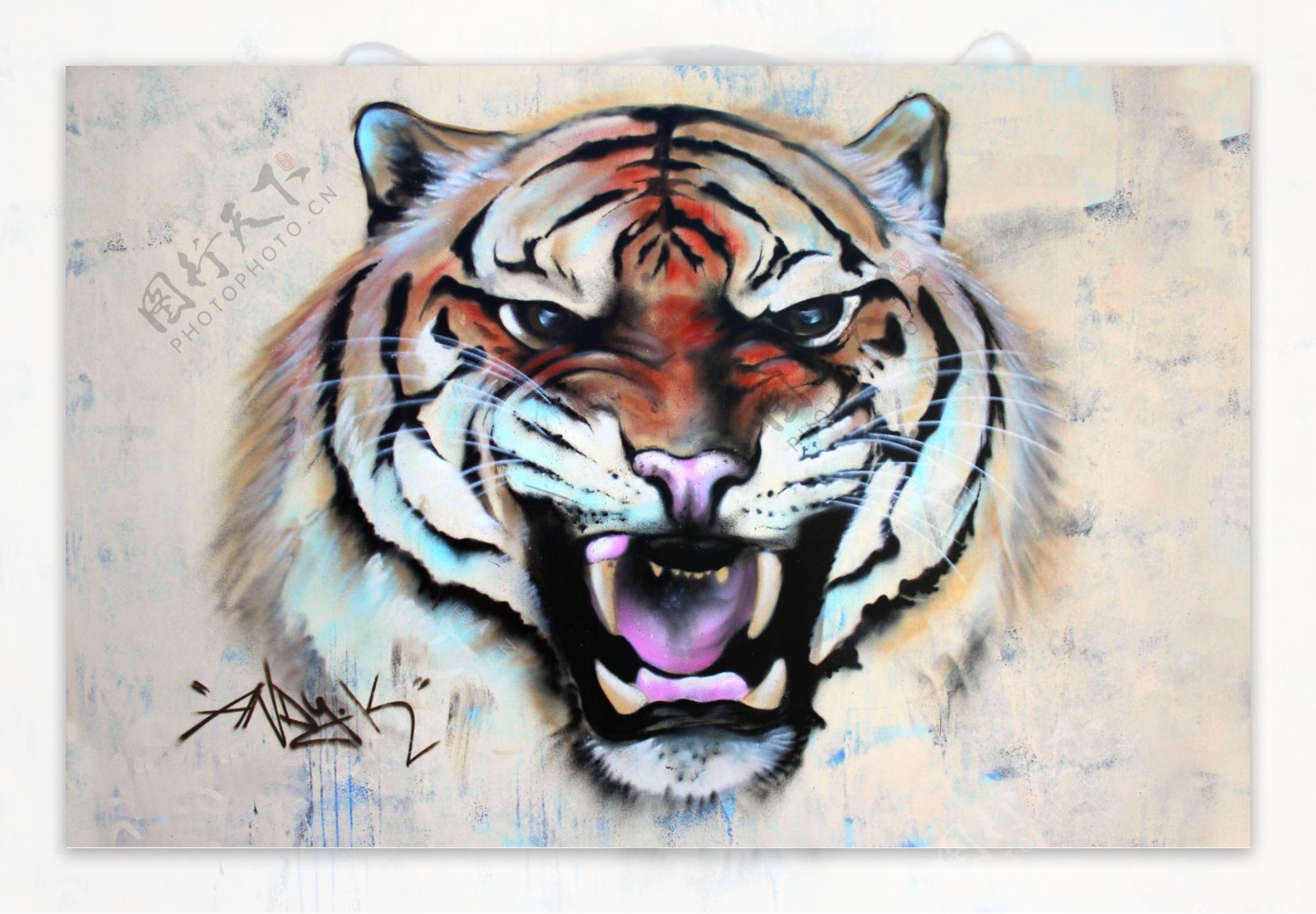 墙壁上的老虎涂鸦图片