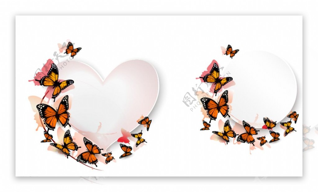 蝴蝶相框图片