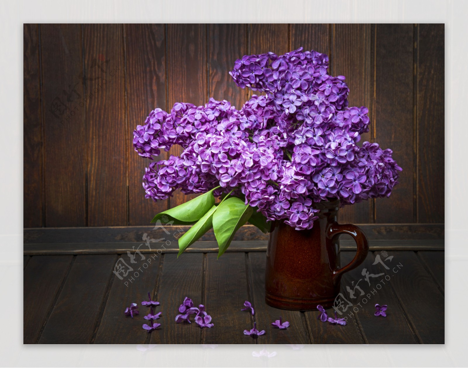 花瓶里盛开的紫色花卉图片