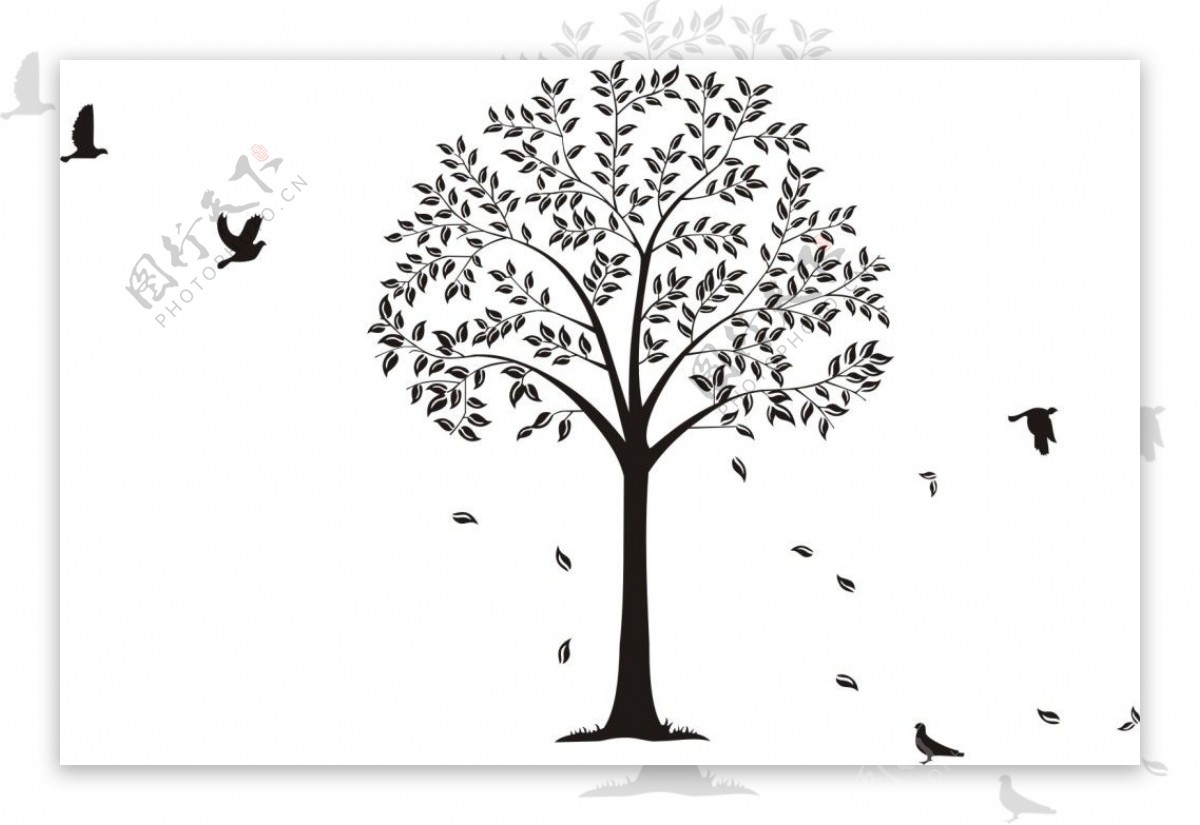 大树和小鸟