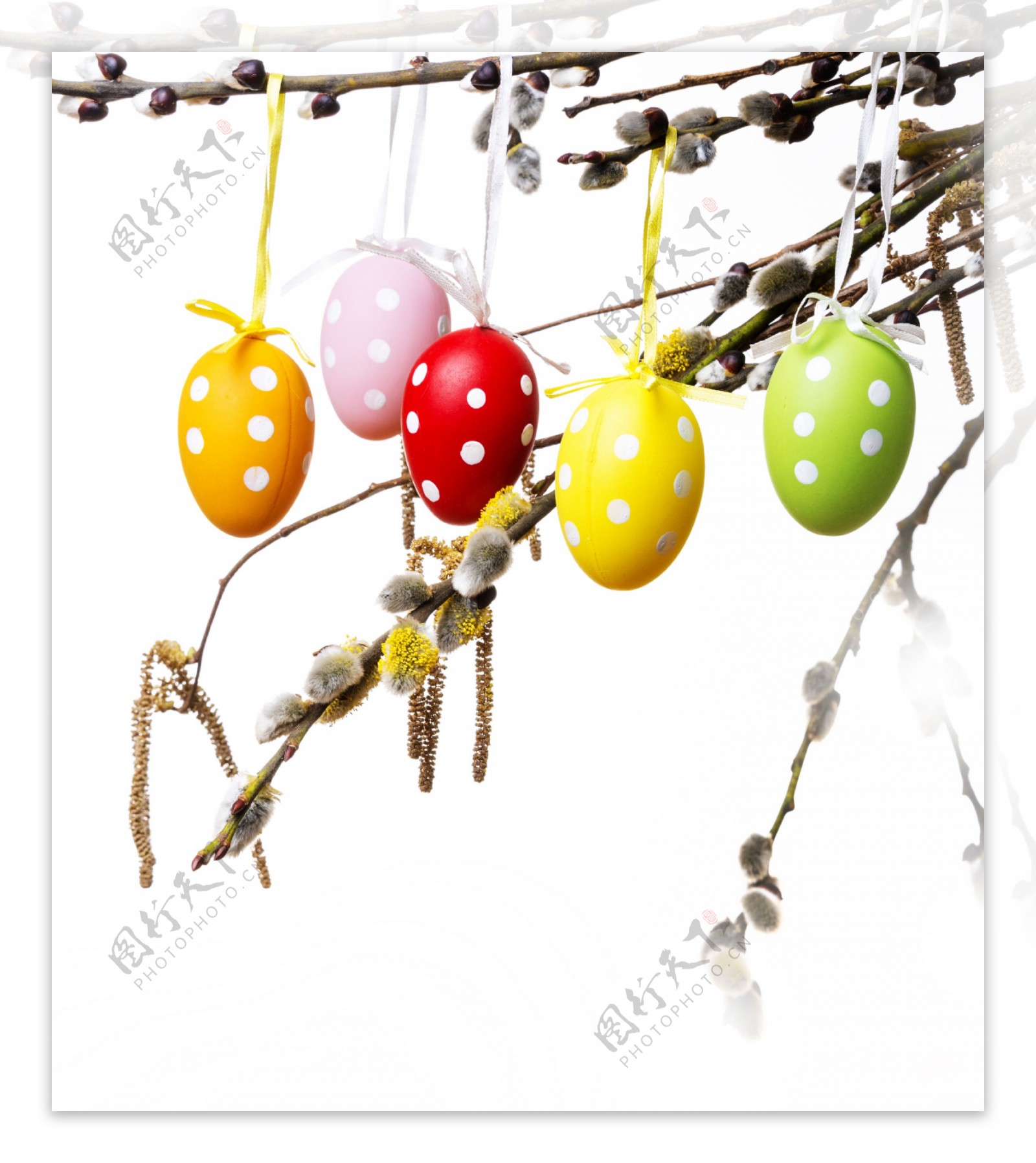树枝上挂着的彩蛋图片