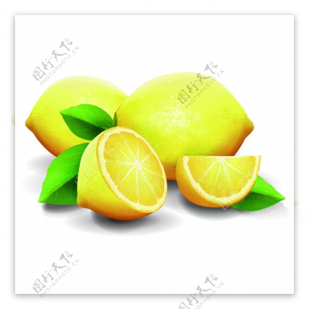 矢量柠檬