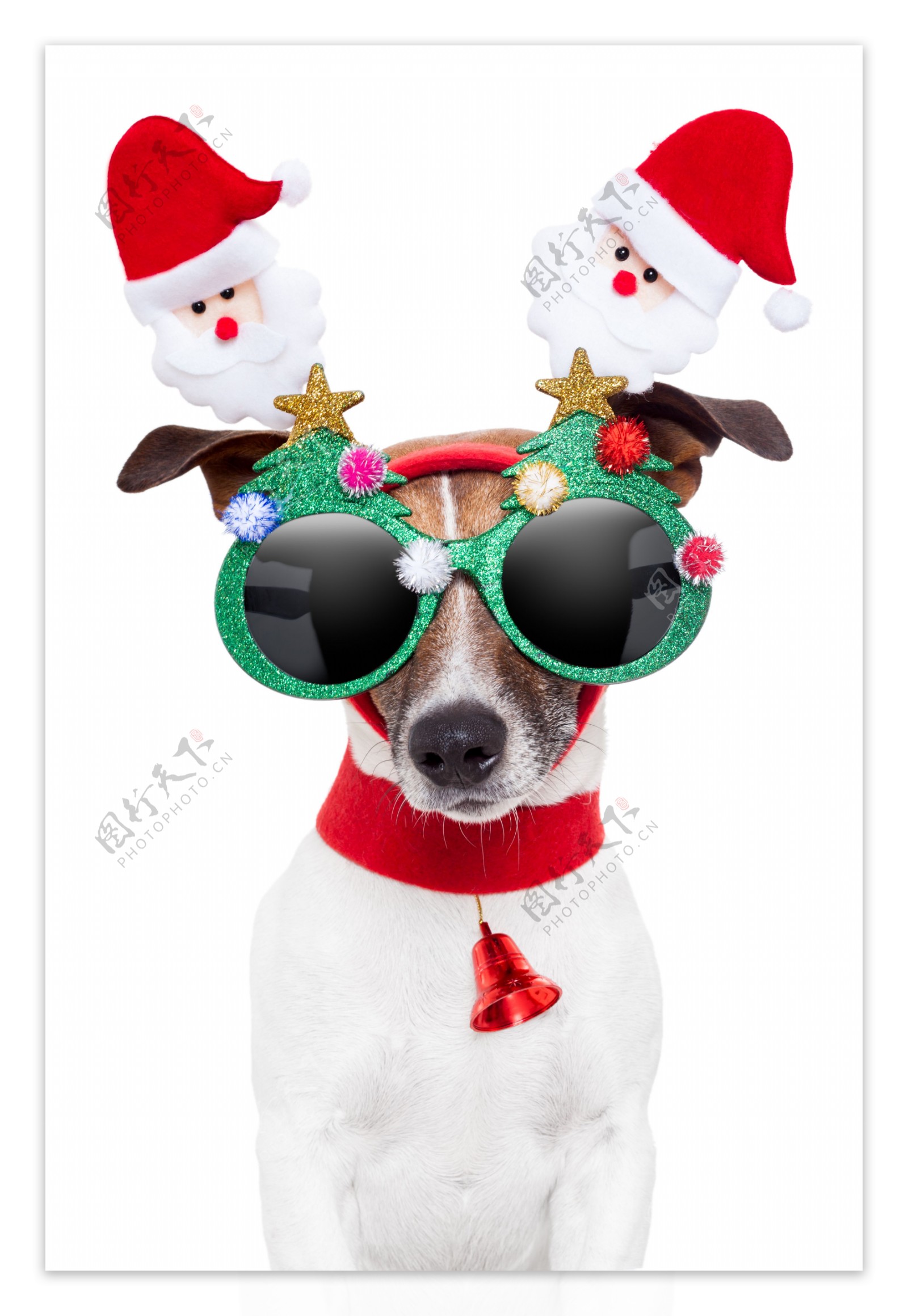 圣诞可爱狗狗图片素材