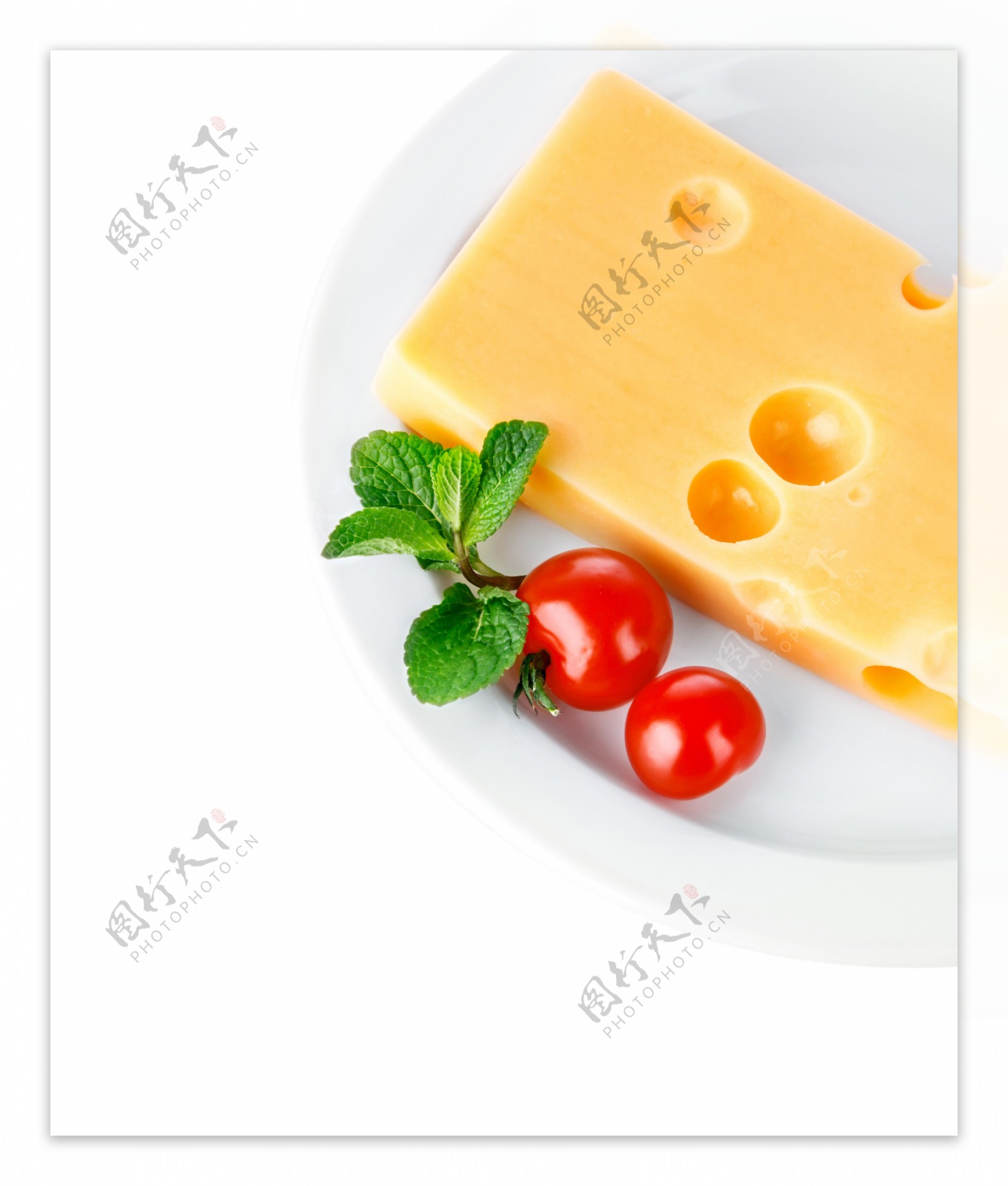 奶酪18图片