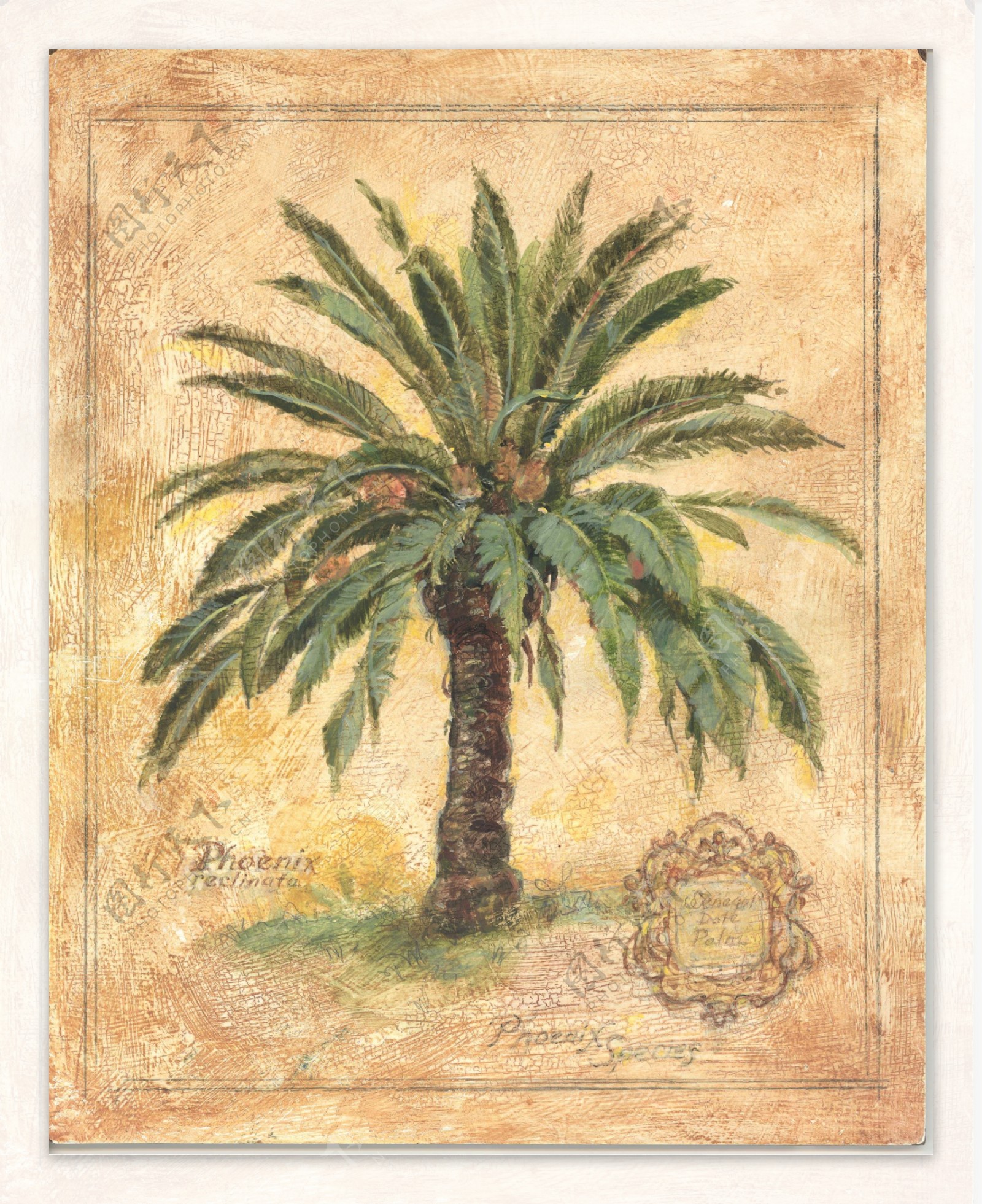 复古椰树油画画芯