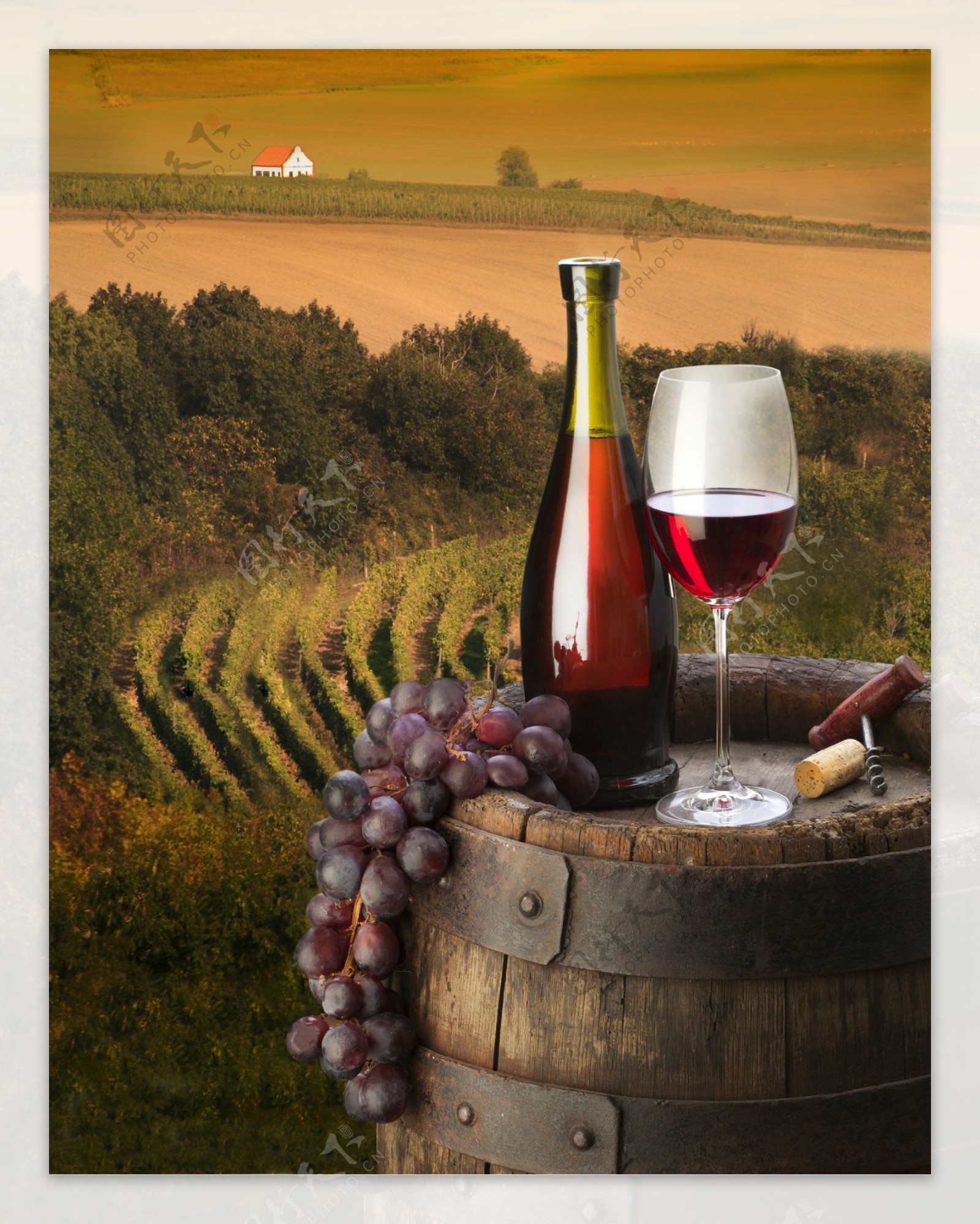 木桶上的葡萄和喝红酒图片