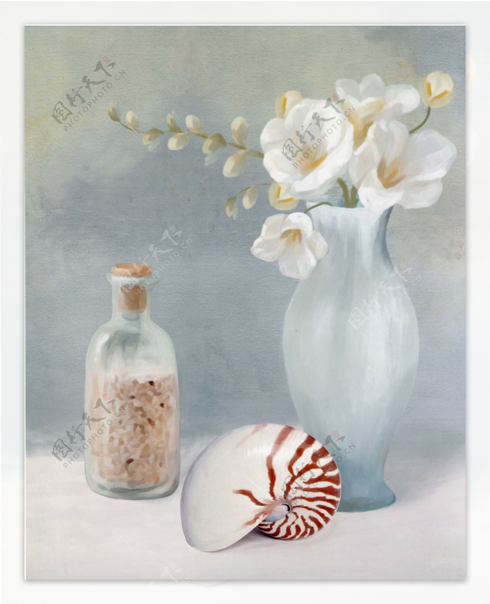透明花瓶与海螺