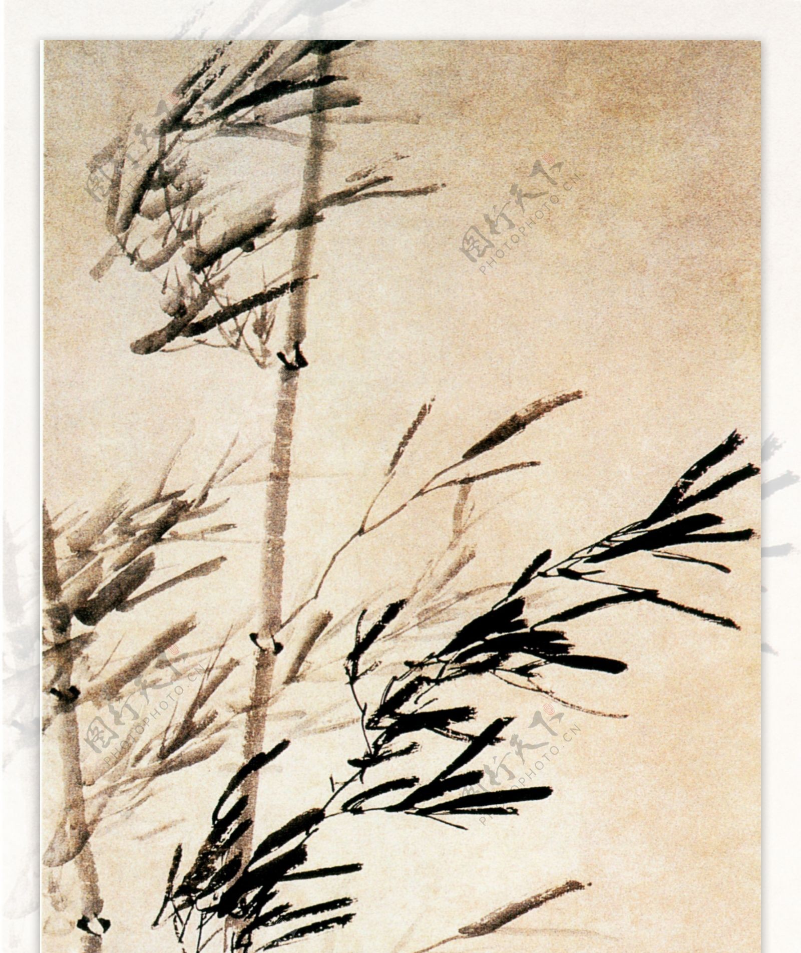 高清手绘竹子图片