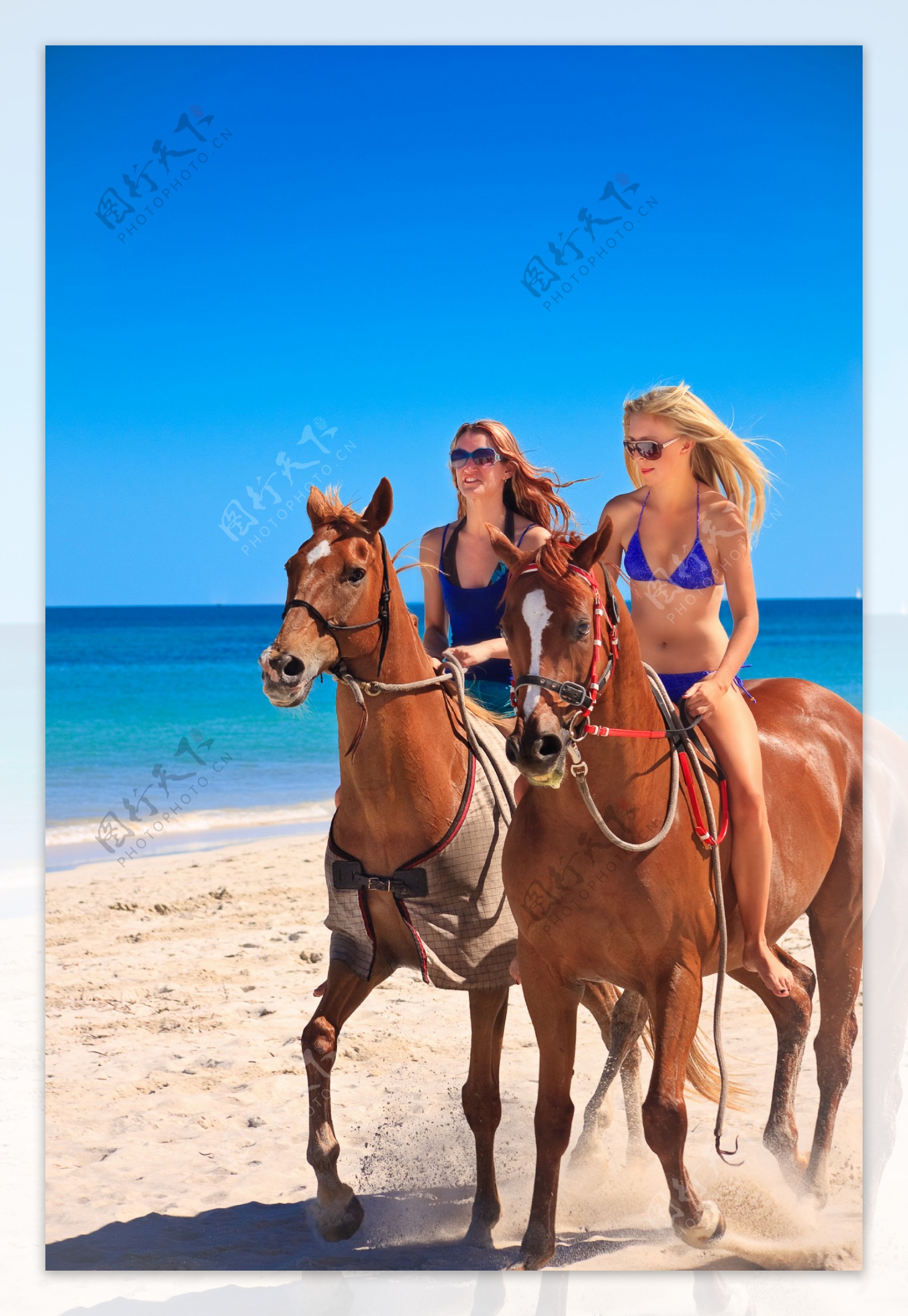 马背上的性感女人图片