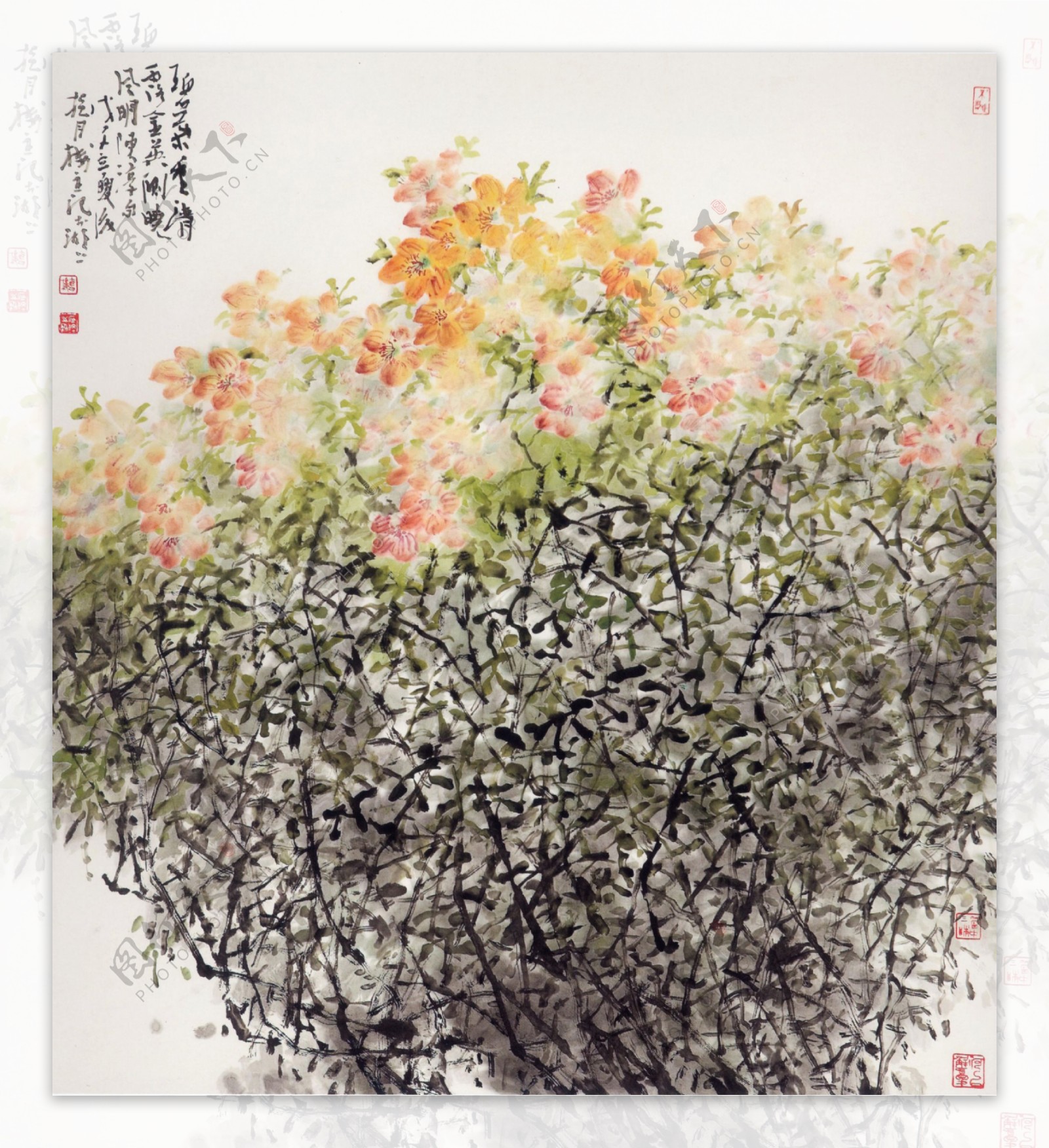 树木花卉装饰画图片