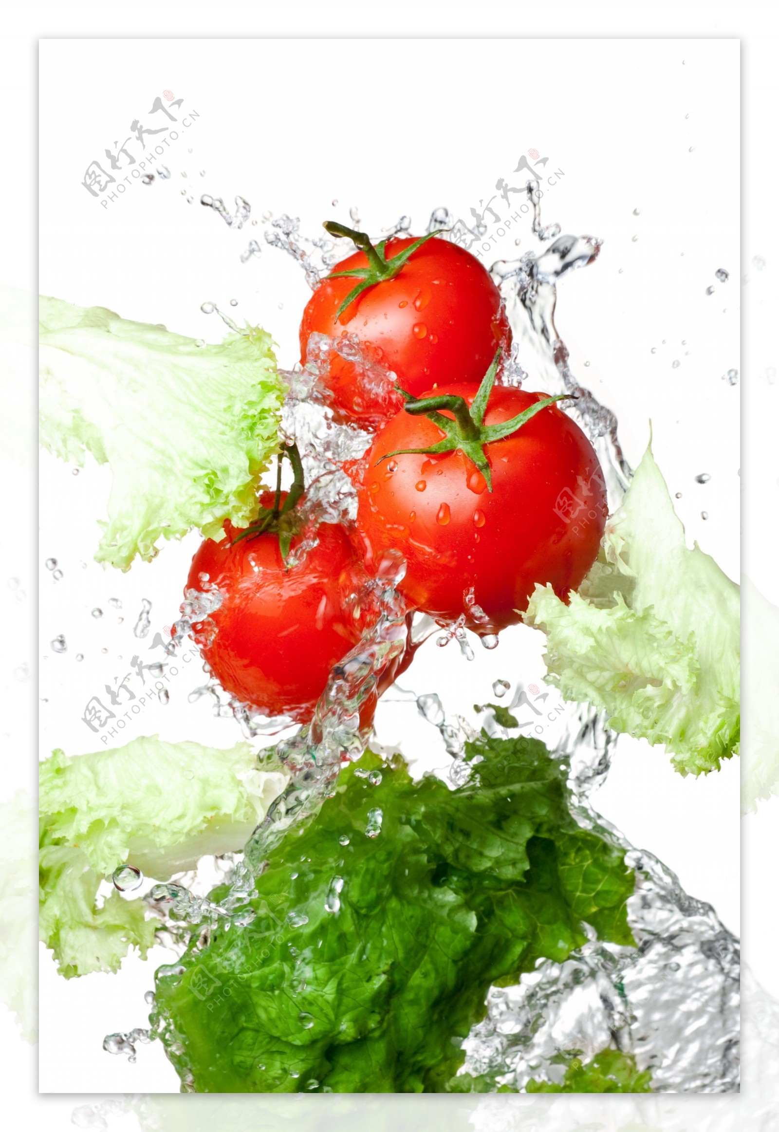 新鲜番茄青菜水花图片