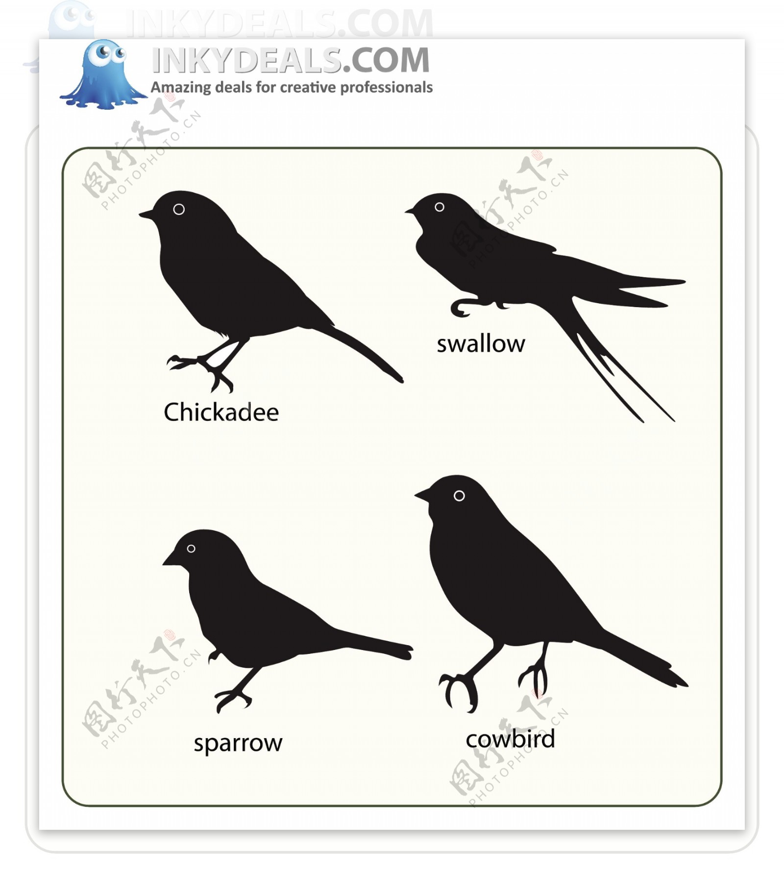 四支不同表情造形的鸟类设计元素图标矢量