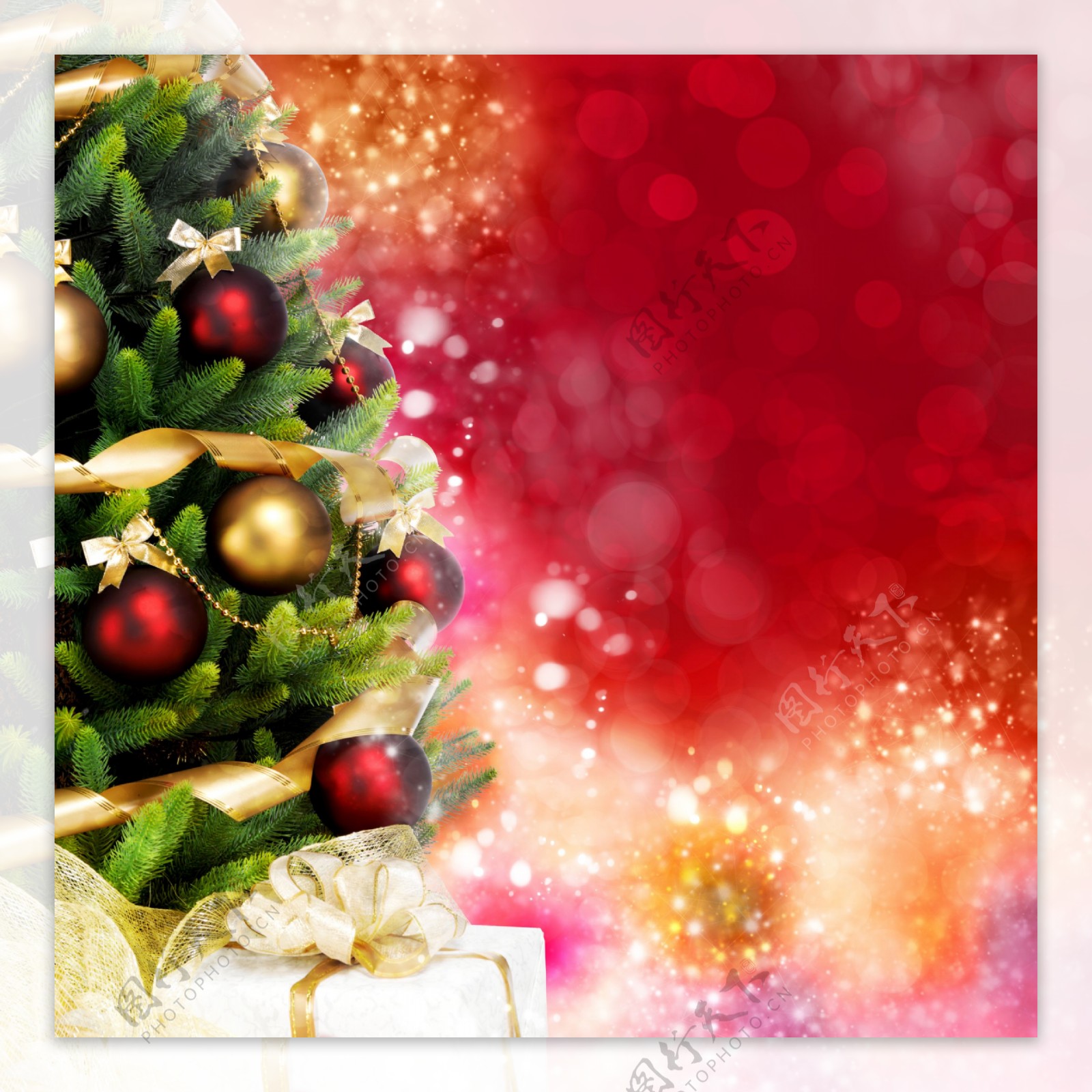 漂亮圣诞树与光斑背景图片