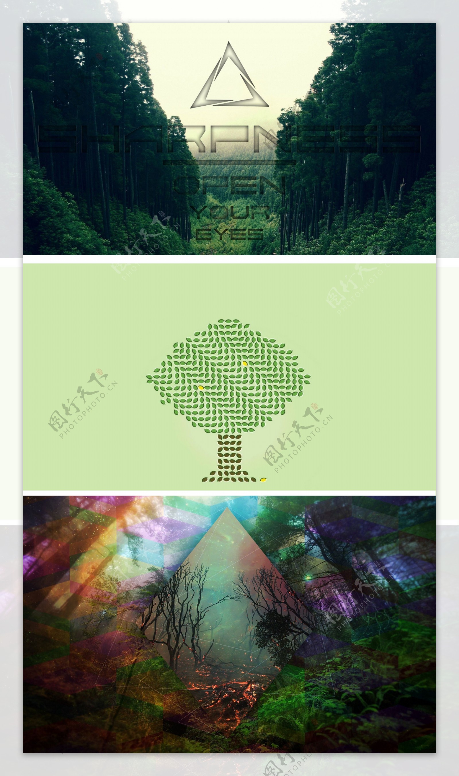 创意的树林和树木