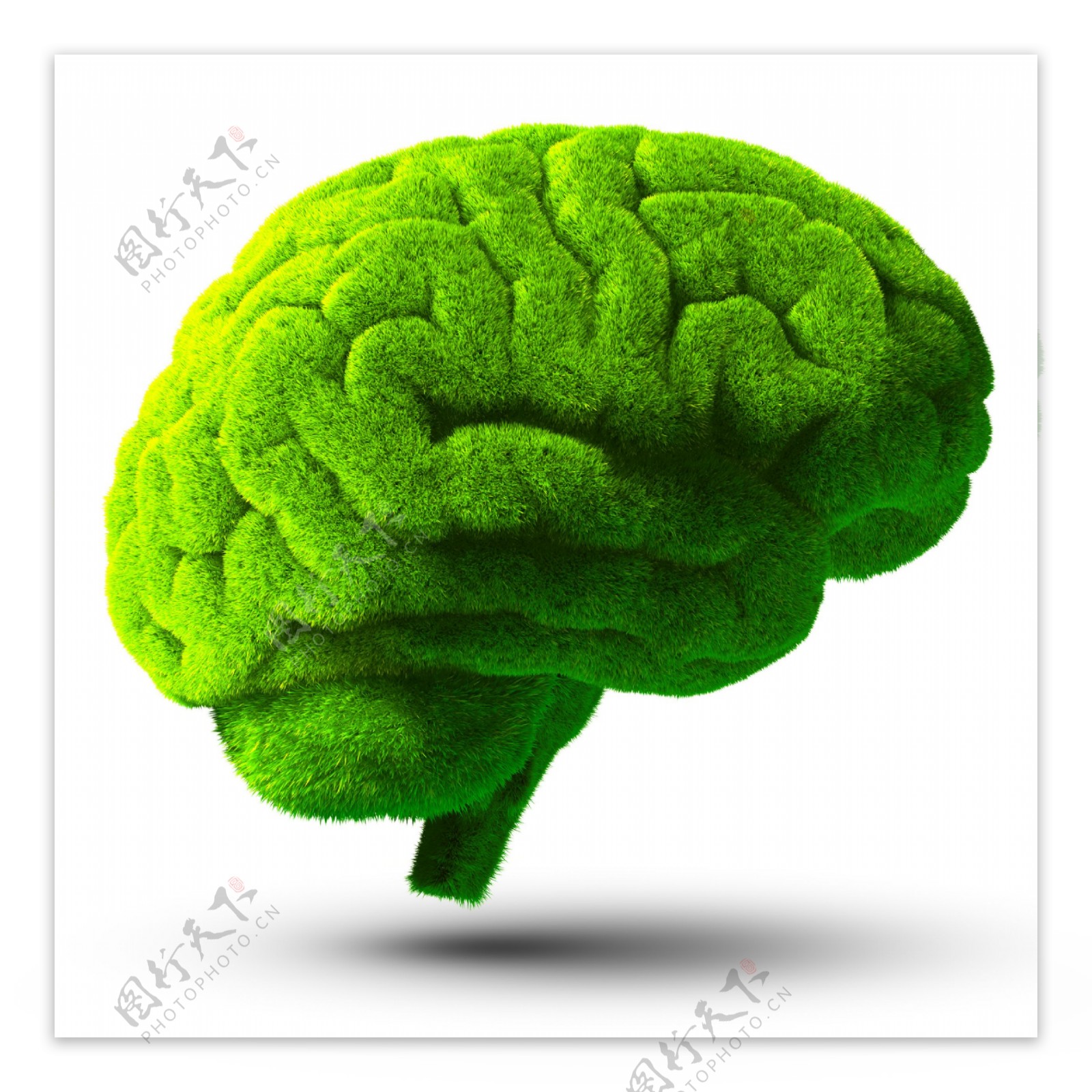 创意绿色大脑图片
