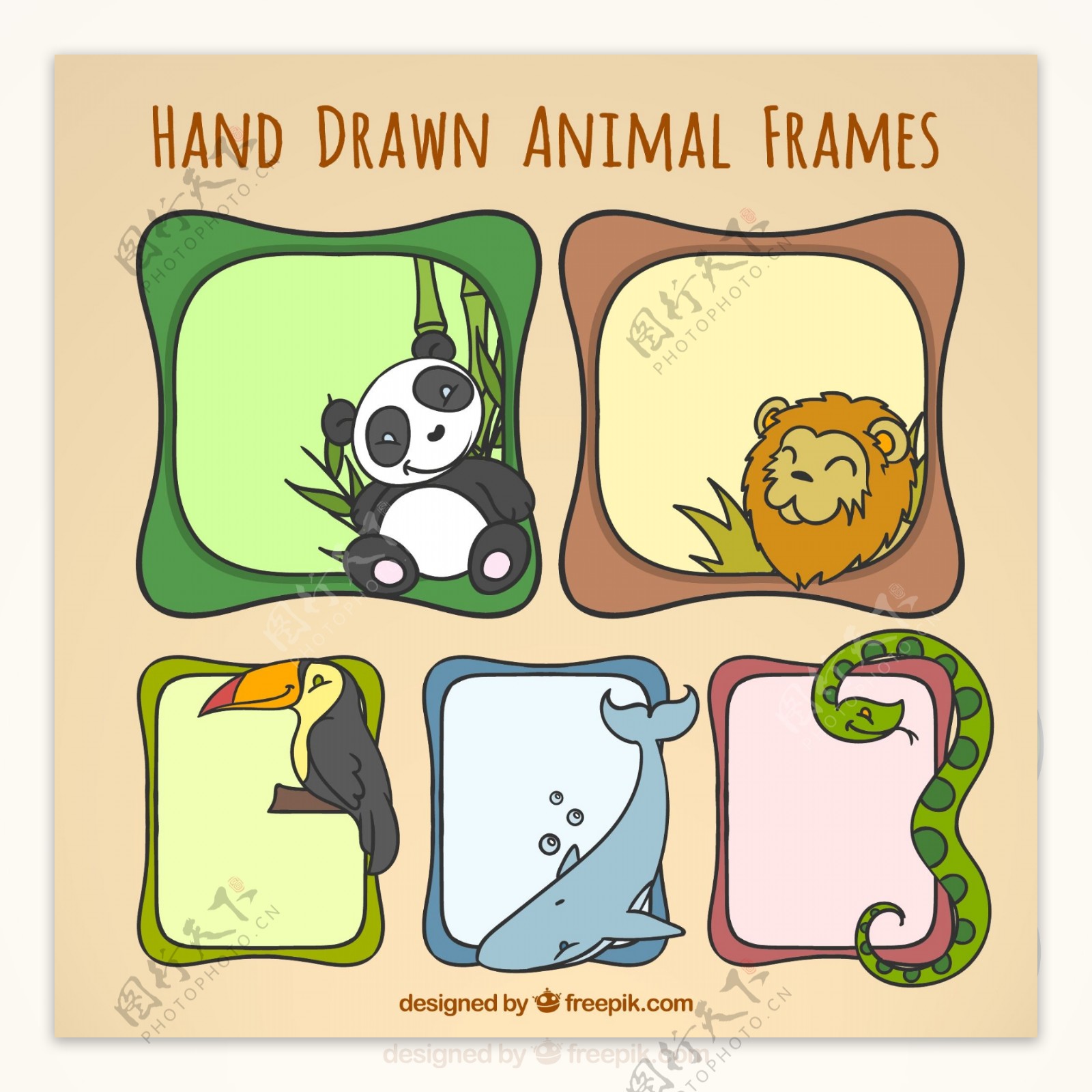 手绘动物框架