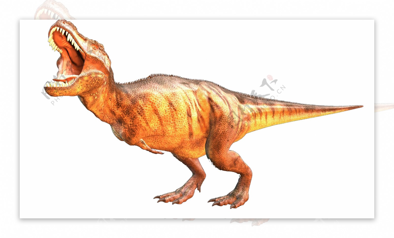 雷克萨斯暴龙恐龙龙