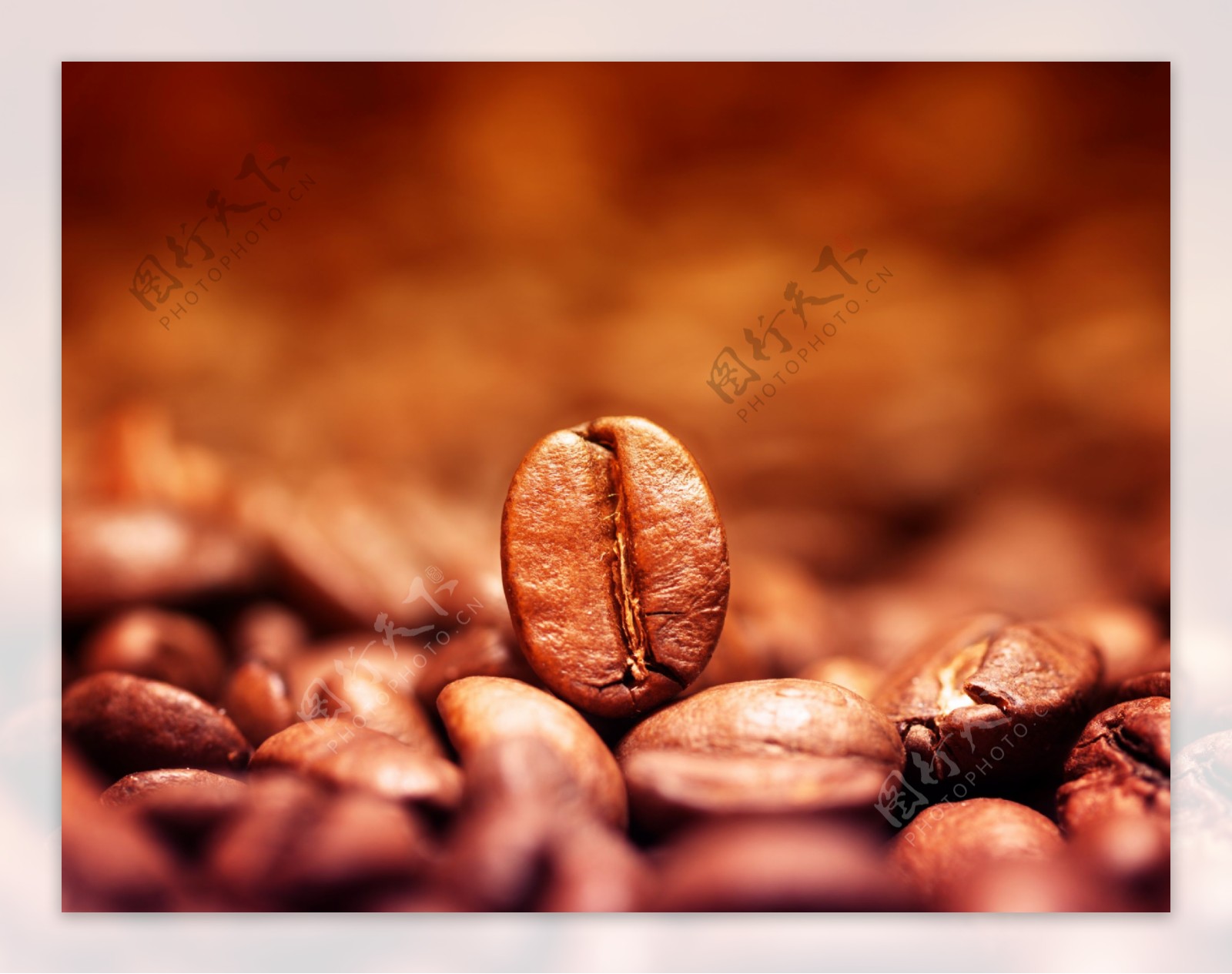 梦幻咖啡豆背景图片