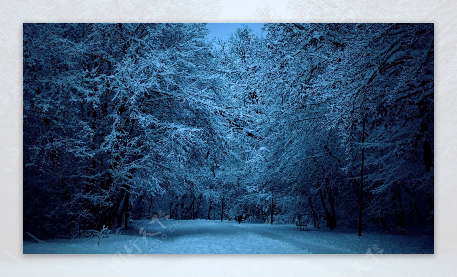 雪后的林间道路