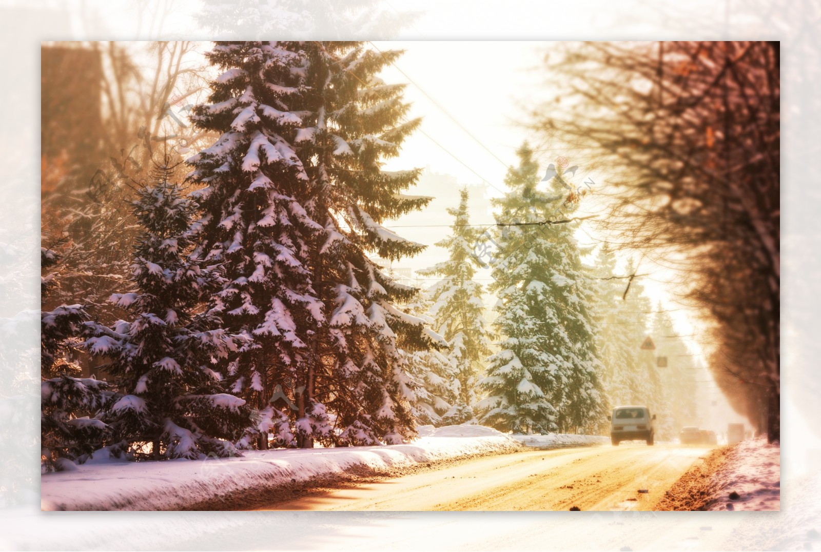 美丽树林雪景图片素材-编号26391439-图行天下