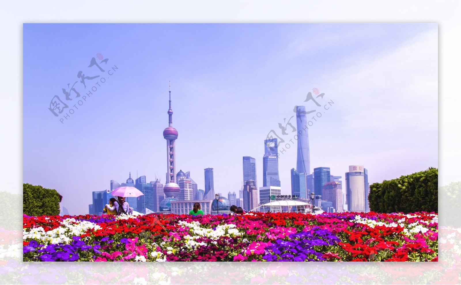 美丽的上海风景图片