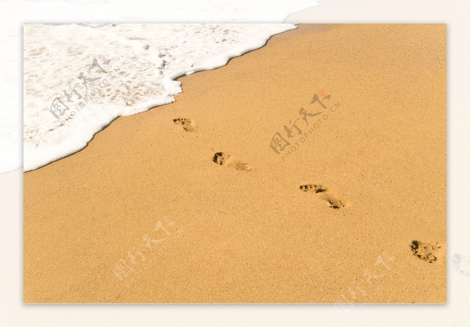 海边的脚印图片