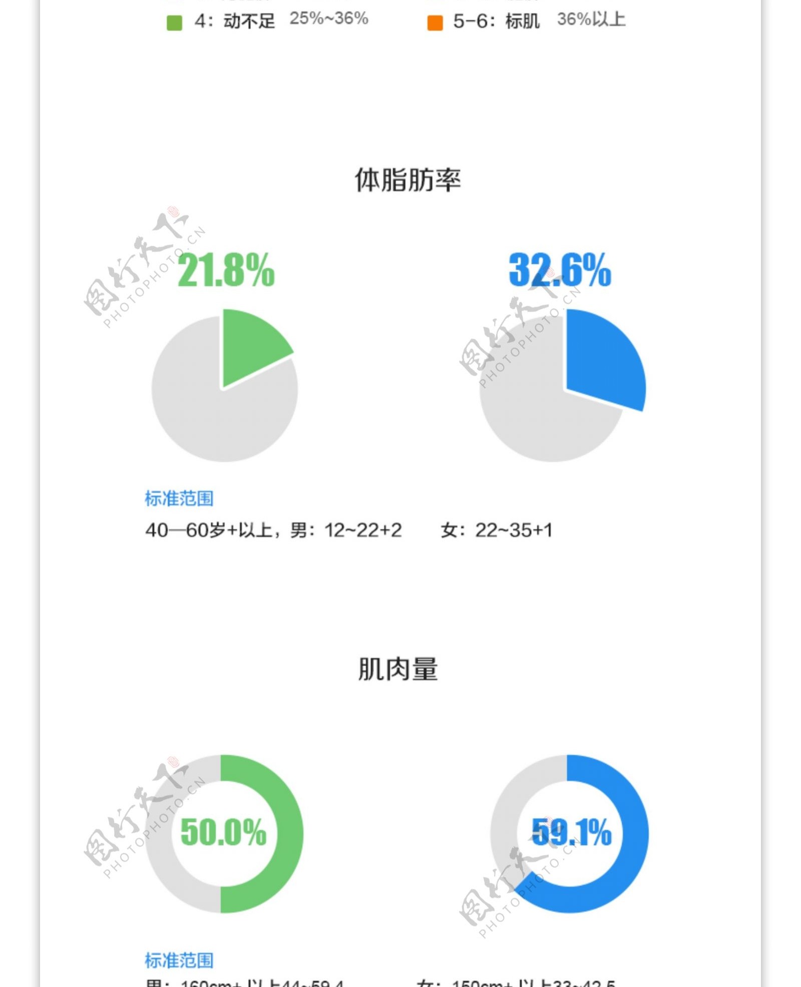 体检数据