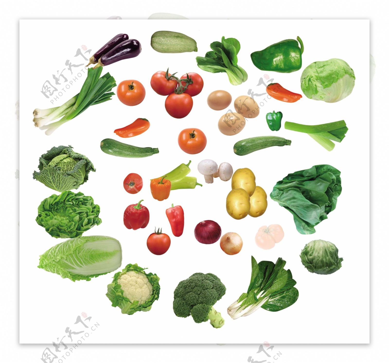 蔬菜图片免费下载