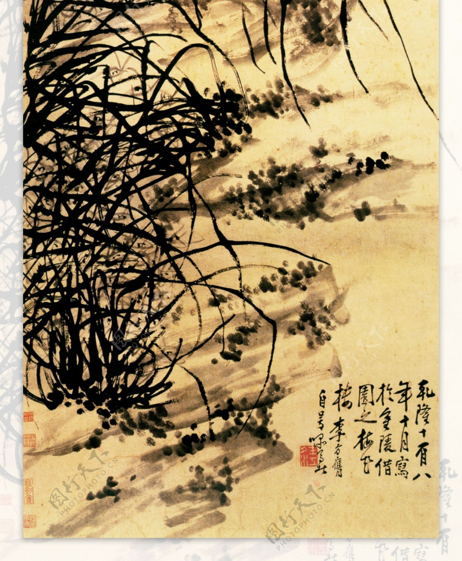 兰石图花鸟画中国古画0528