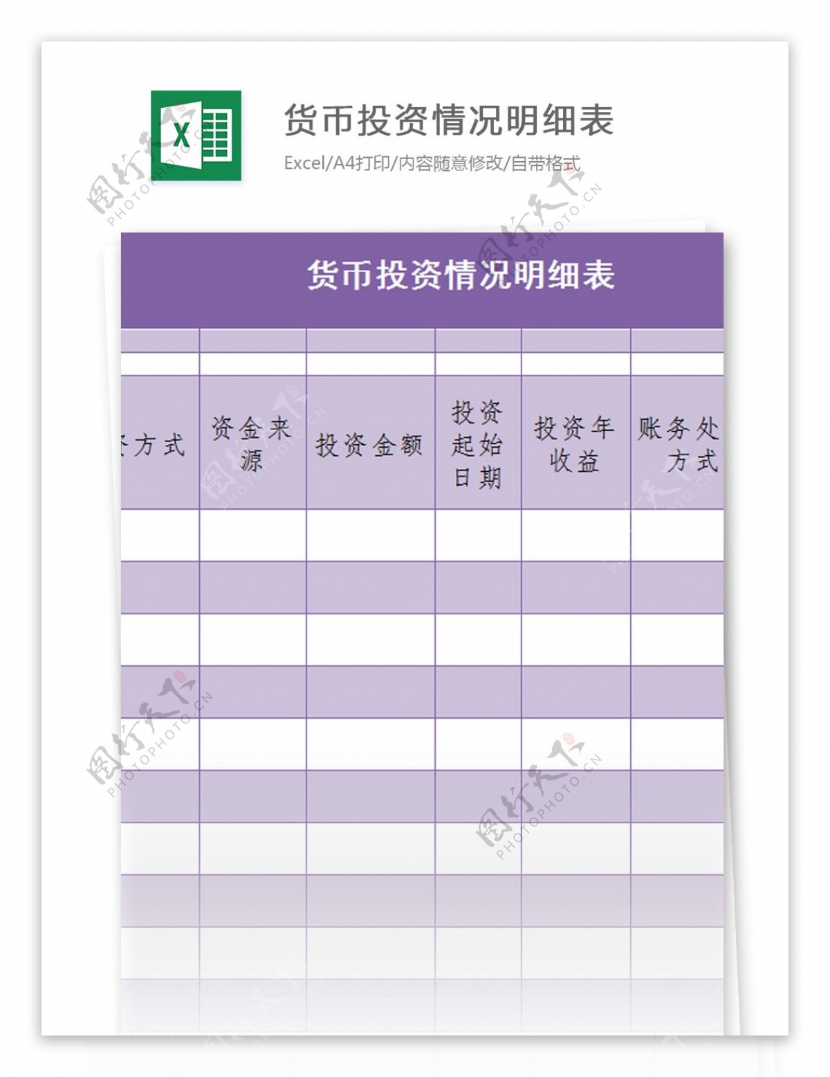 货币投资情况明细表excel模板