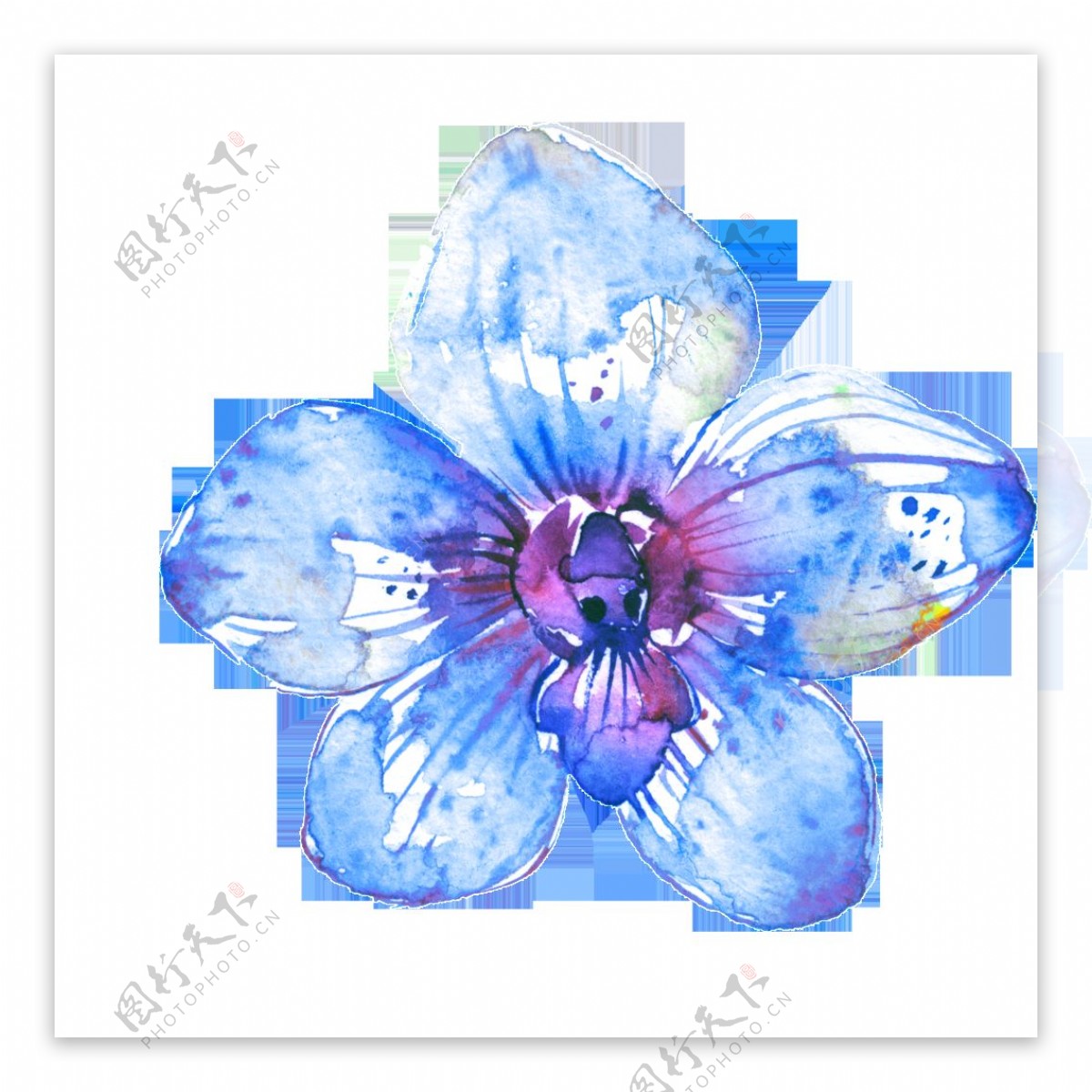 唯美彩绘蓝色花朵花瓣素材