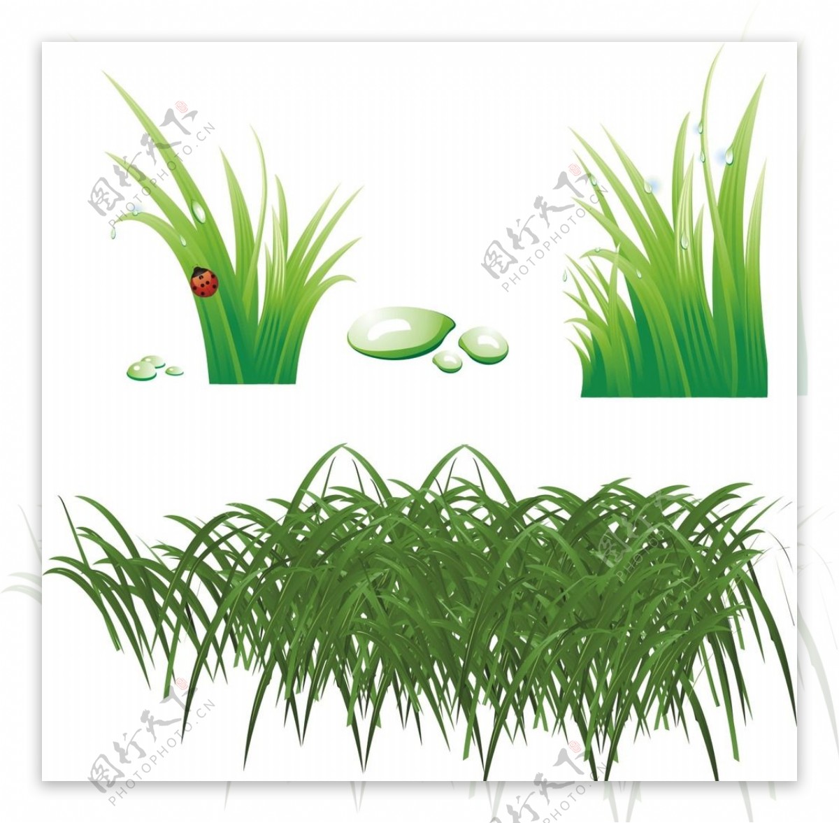 卡通绿色的小草矢量素材图片_装饰图案_设计元素-图行天下素材网