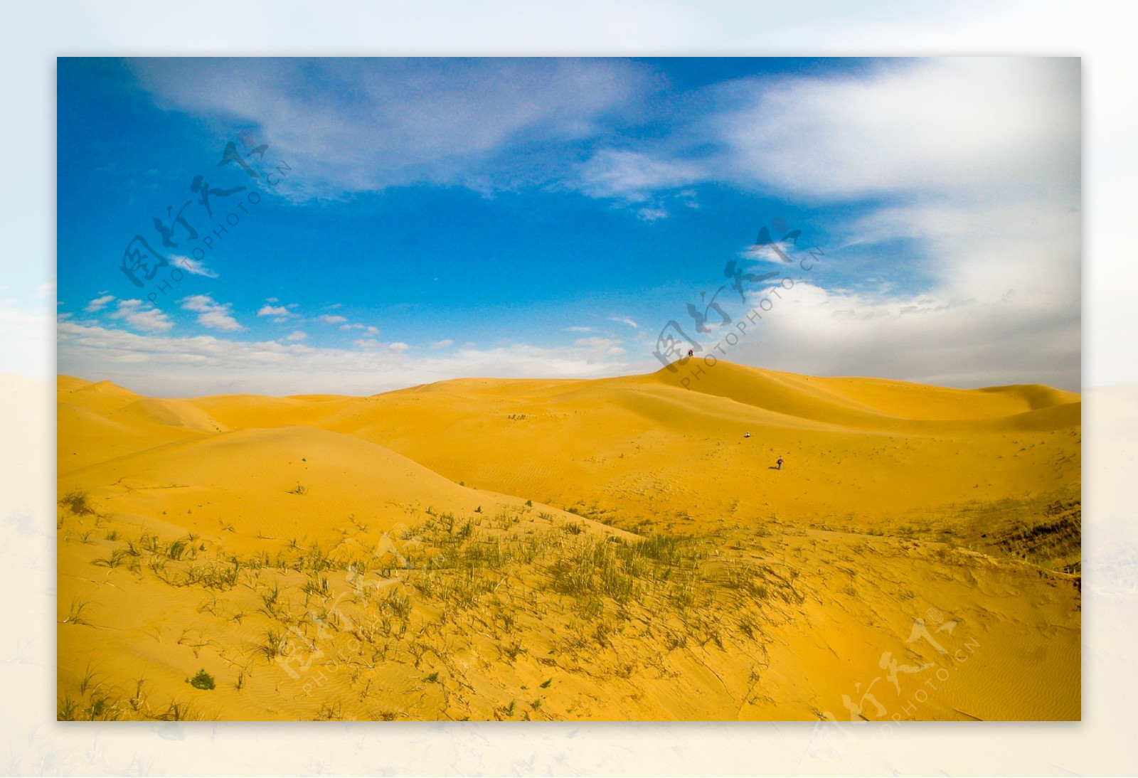 金黄色沙漠风景图片素材