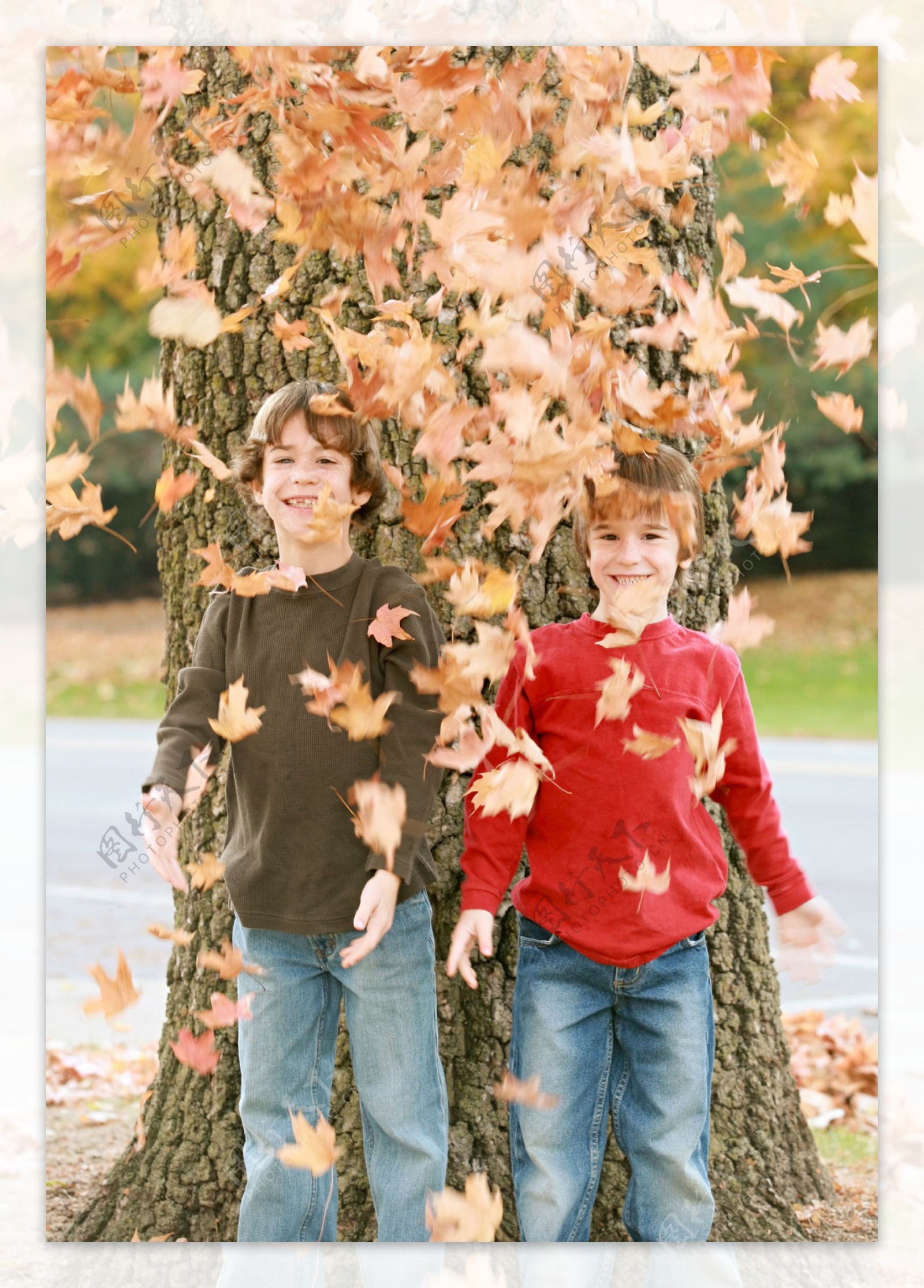 树干前的落叶和外国男孩图片