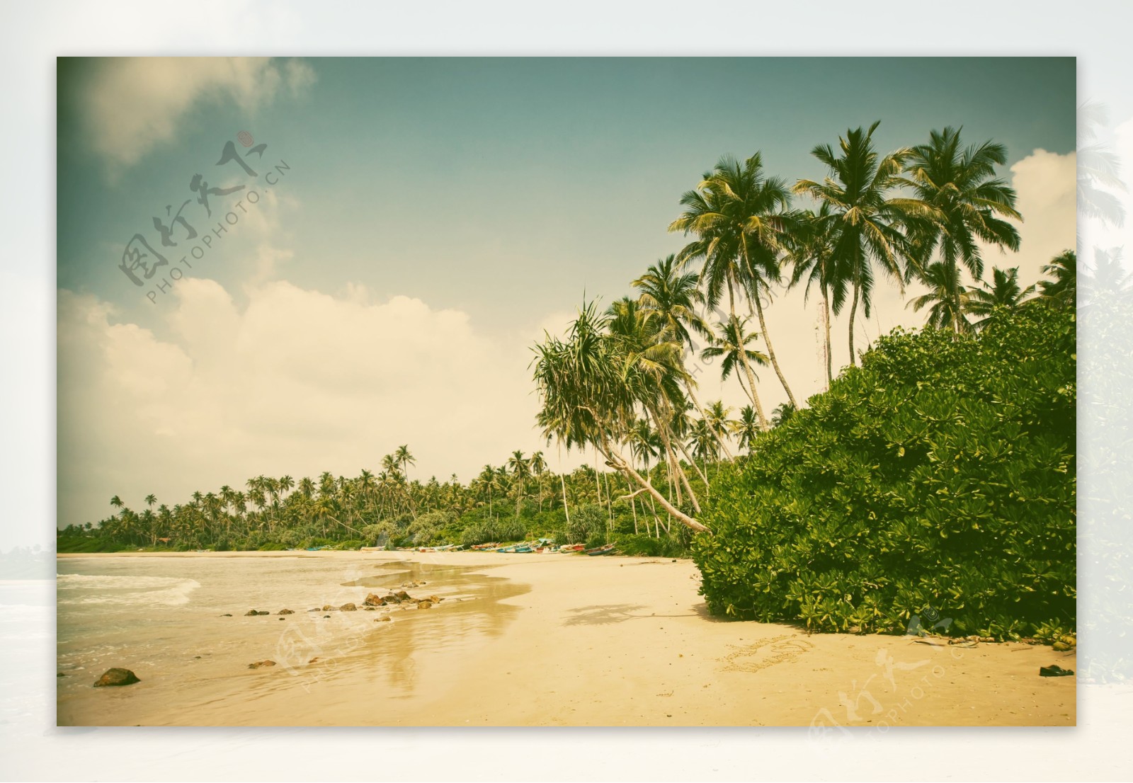椰子树蓝天沙滩图片