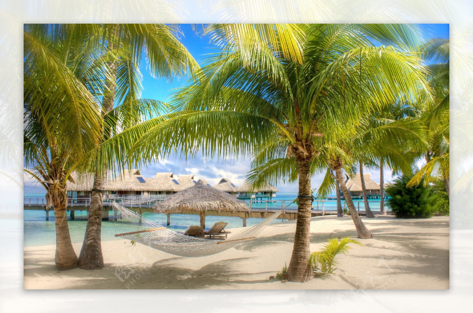 沙滩椰子树风景图片