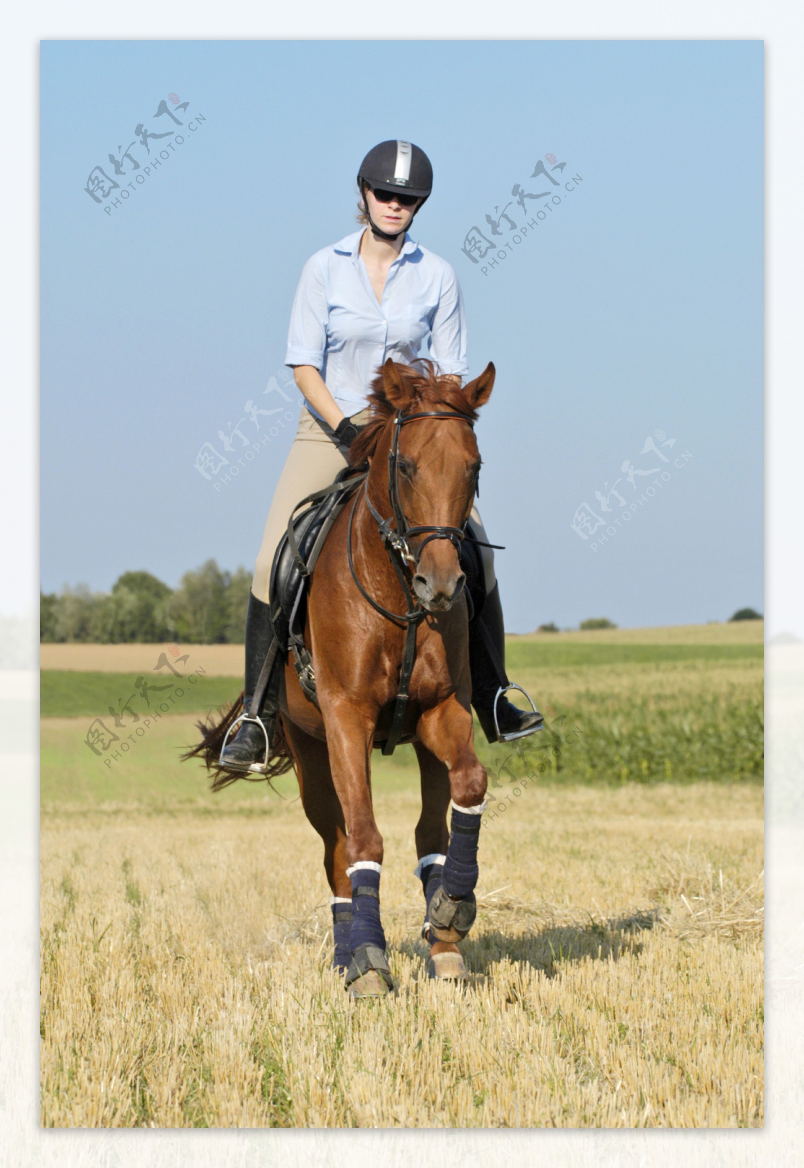 田园里骑马的女孩图片