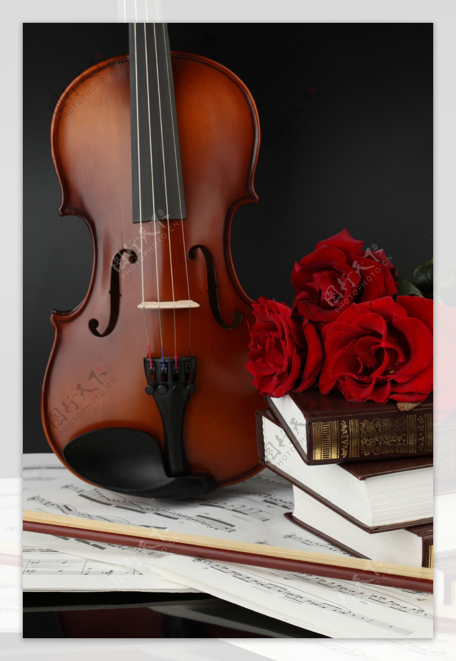 小提琴与玫瑰花