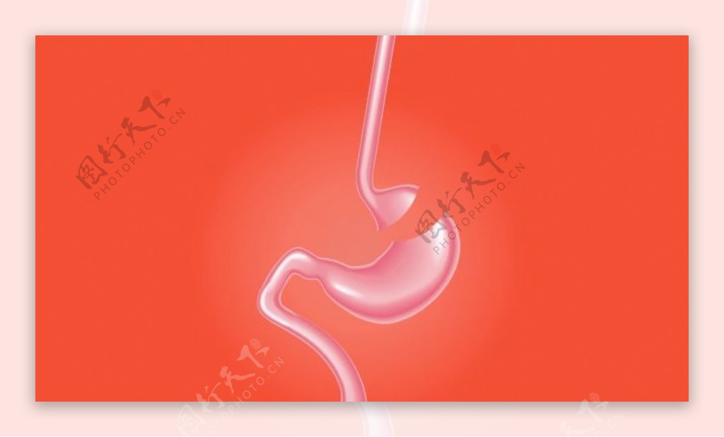 肠胃器官视频素材