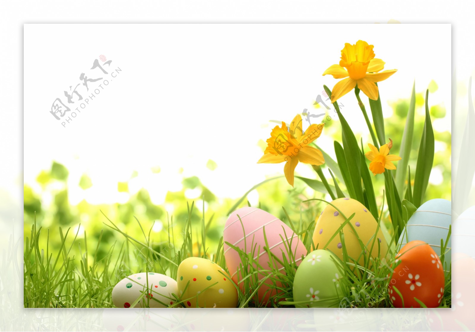 草丛里的复活节彩蛋图片