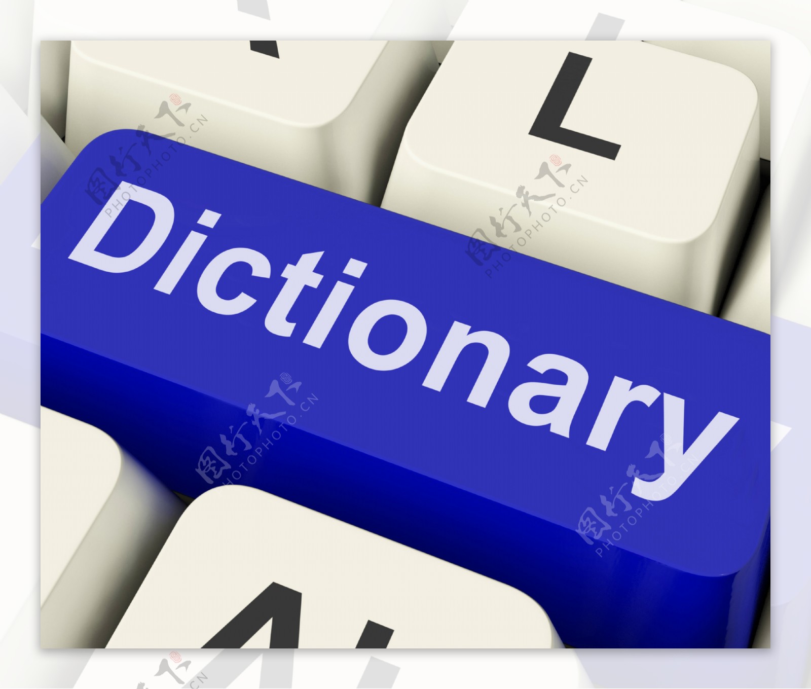 字典的键显示在线网络定义或参考