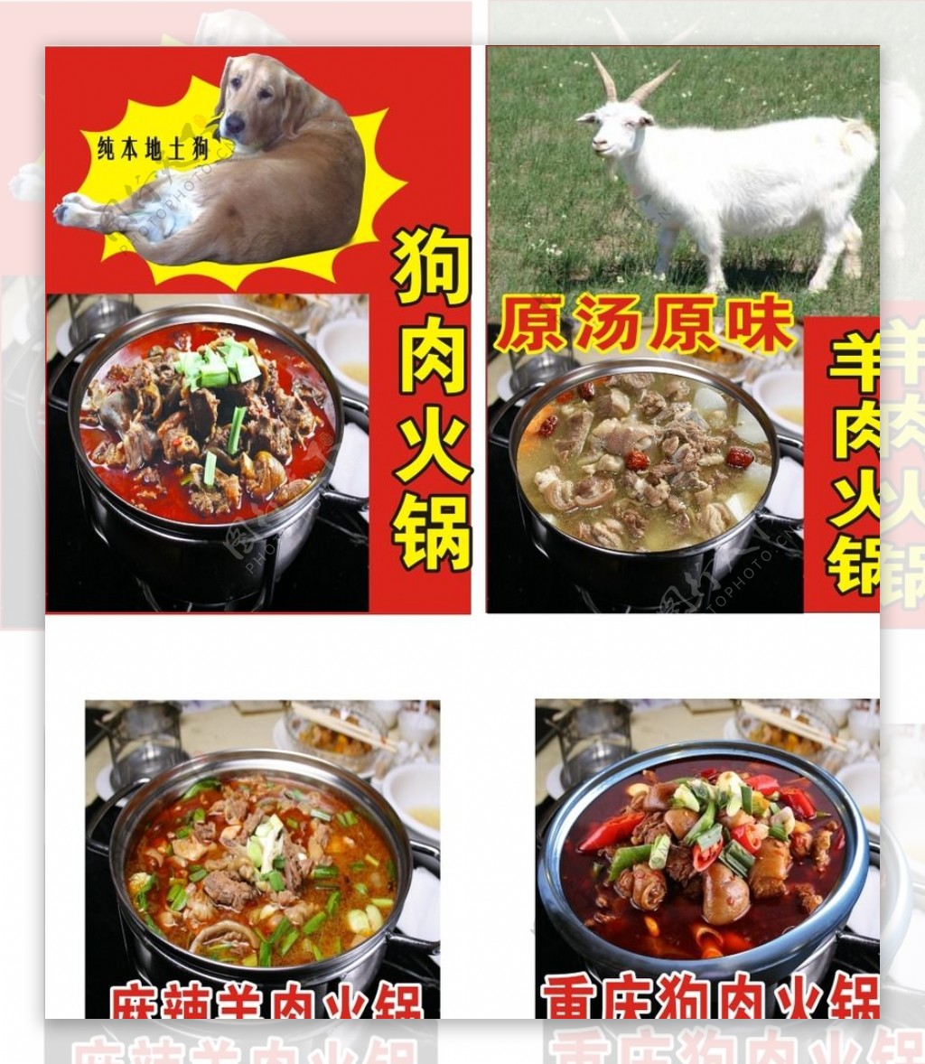 狗肉羊肉煲