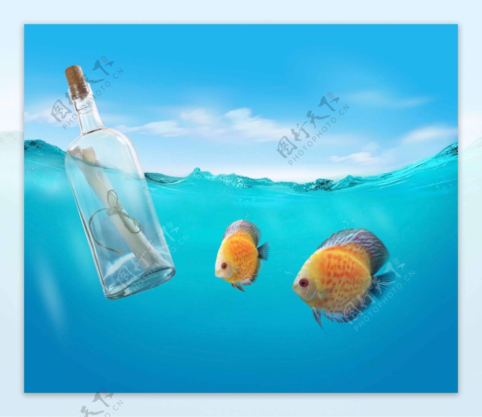 漂流瓶与鱼图片