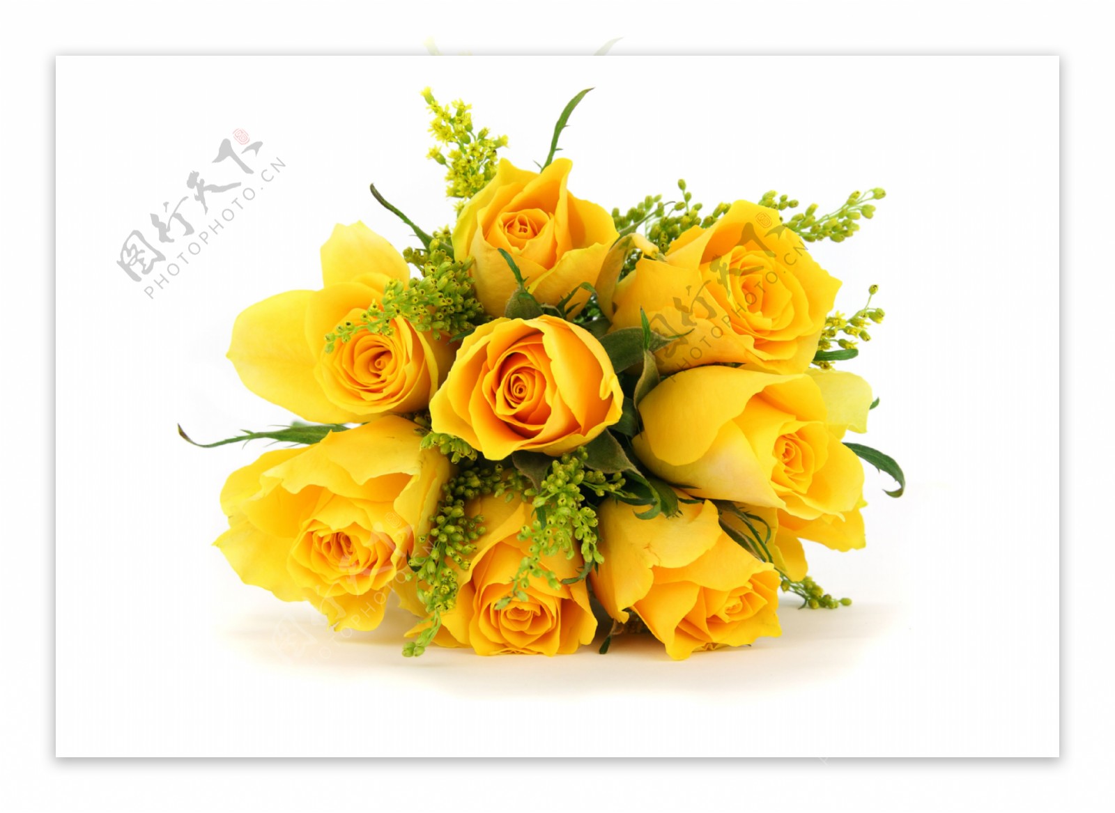 黄色玫瑰捧花图片